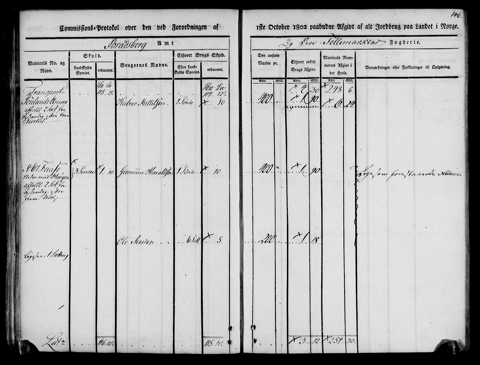 Rentekammeret inntil 1814, Realistisk ordnet avdeling, AV/RA-EA-4070/N/Ne/Nea/L0074: Øvre Telemarken fogderi. Kommisjonsprotokoll for fogderiets østre del - Tinn, Hjartdal og Seljord prestegjeld., 1803, p. 146