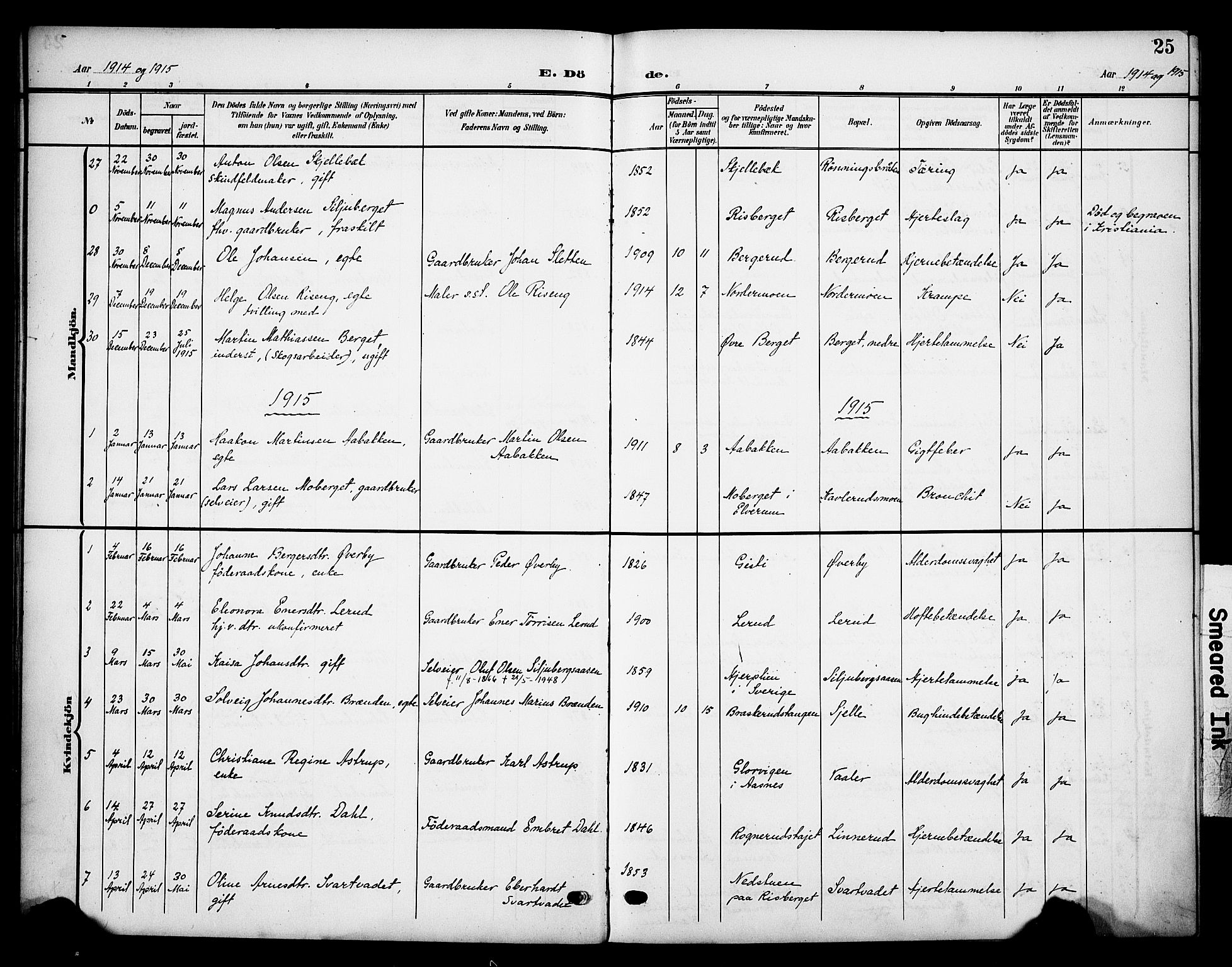 Våler prestekontor, Hedmark, AV/SAH-PREST-040/H/Ha/Haa/L0007: Parish register (official) no. 7, 1908-1919, p. 25