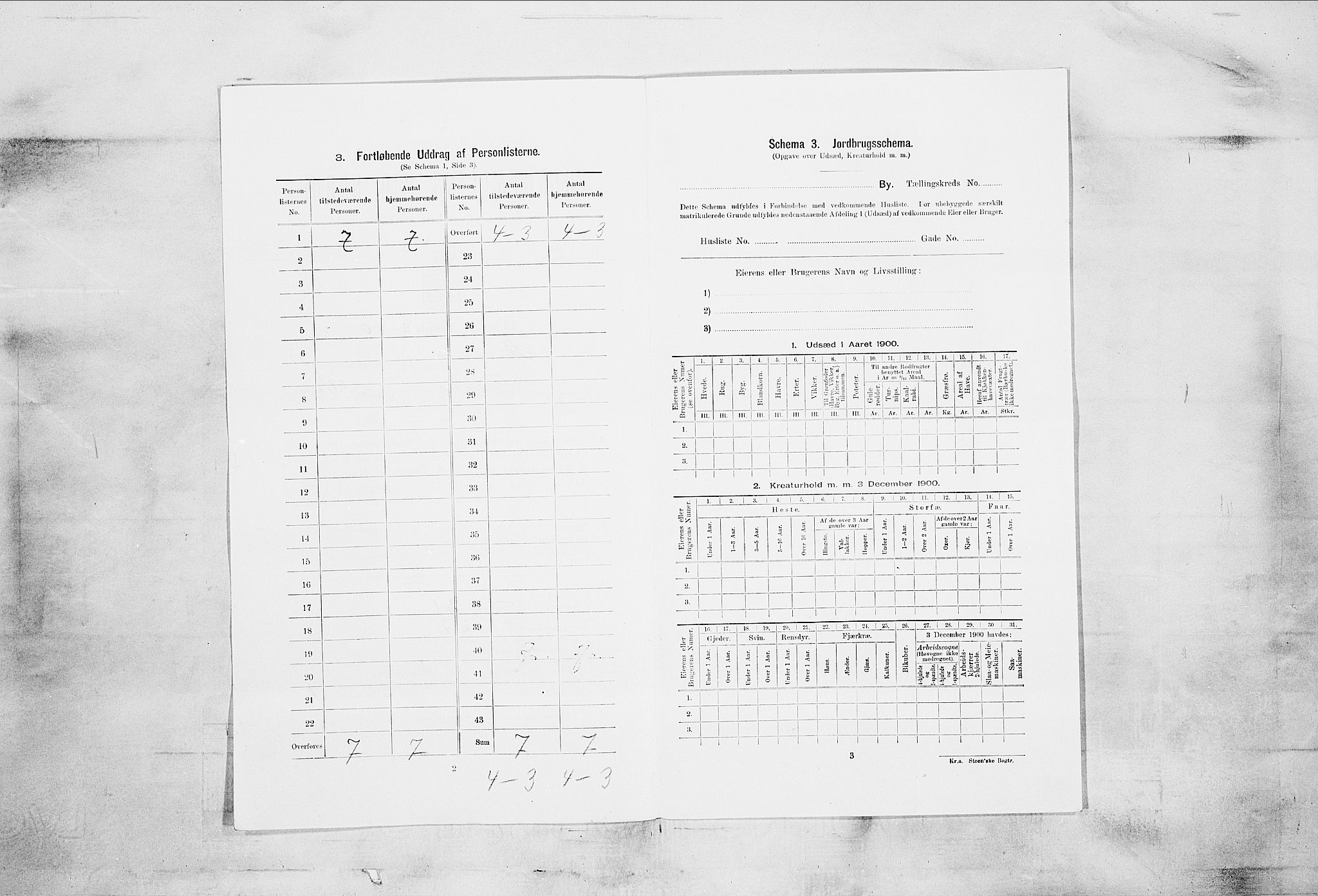 SAKO, 1900 census for Skien, 1900, p. 2094