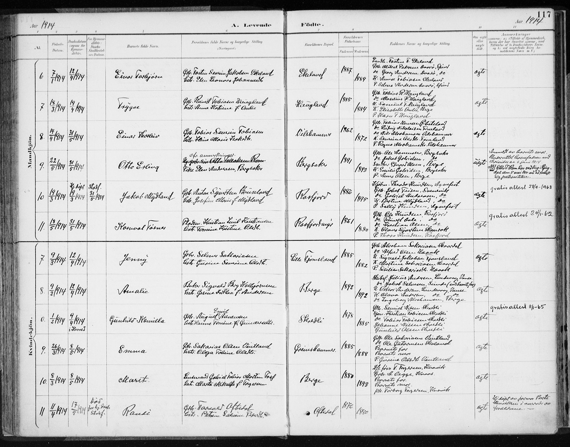 Lyngdal sokneprestkontor, AV/SAK-1111-0029/F/Fa/Fac/L0012: Parish register (official) no. A 12, 1894-1918, p. 117