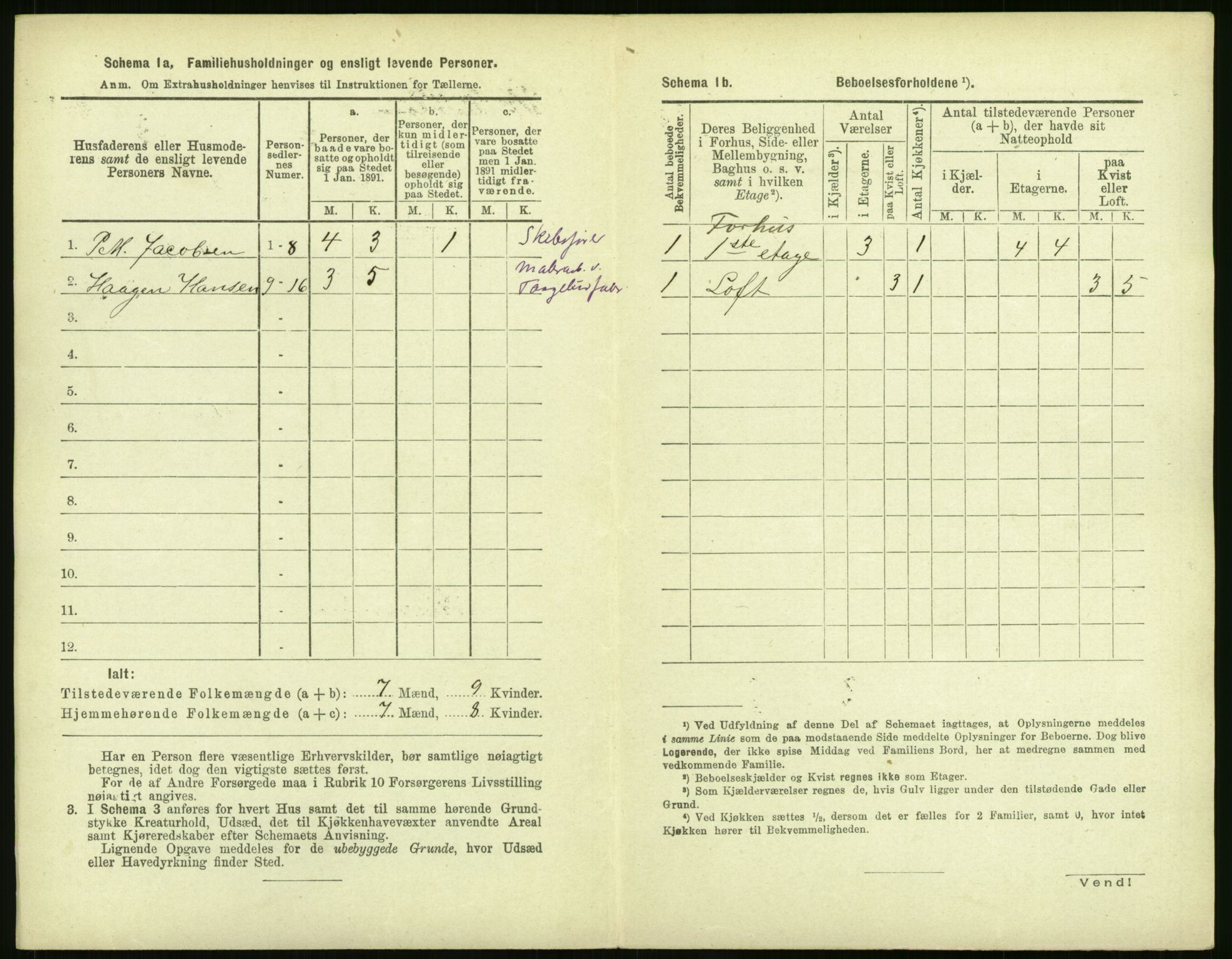 RA, 1891 census for 1104 Skudeneshavn, 1891, p. 197