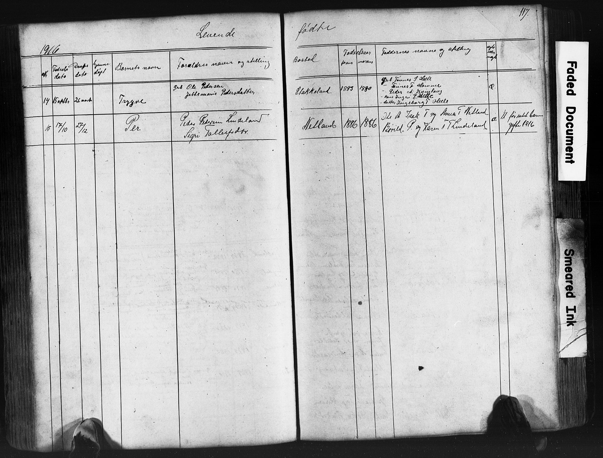 Fjotland sokneprestkontor, SAK/1111-0010/F/Fb/L0003: Parish register (copy) no. B 3, 1872-1924, p. 117