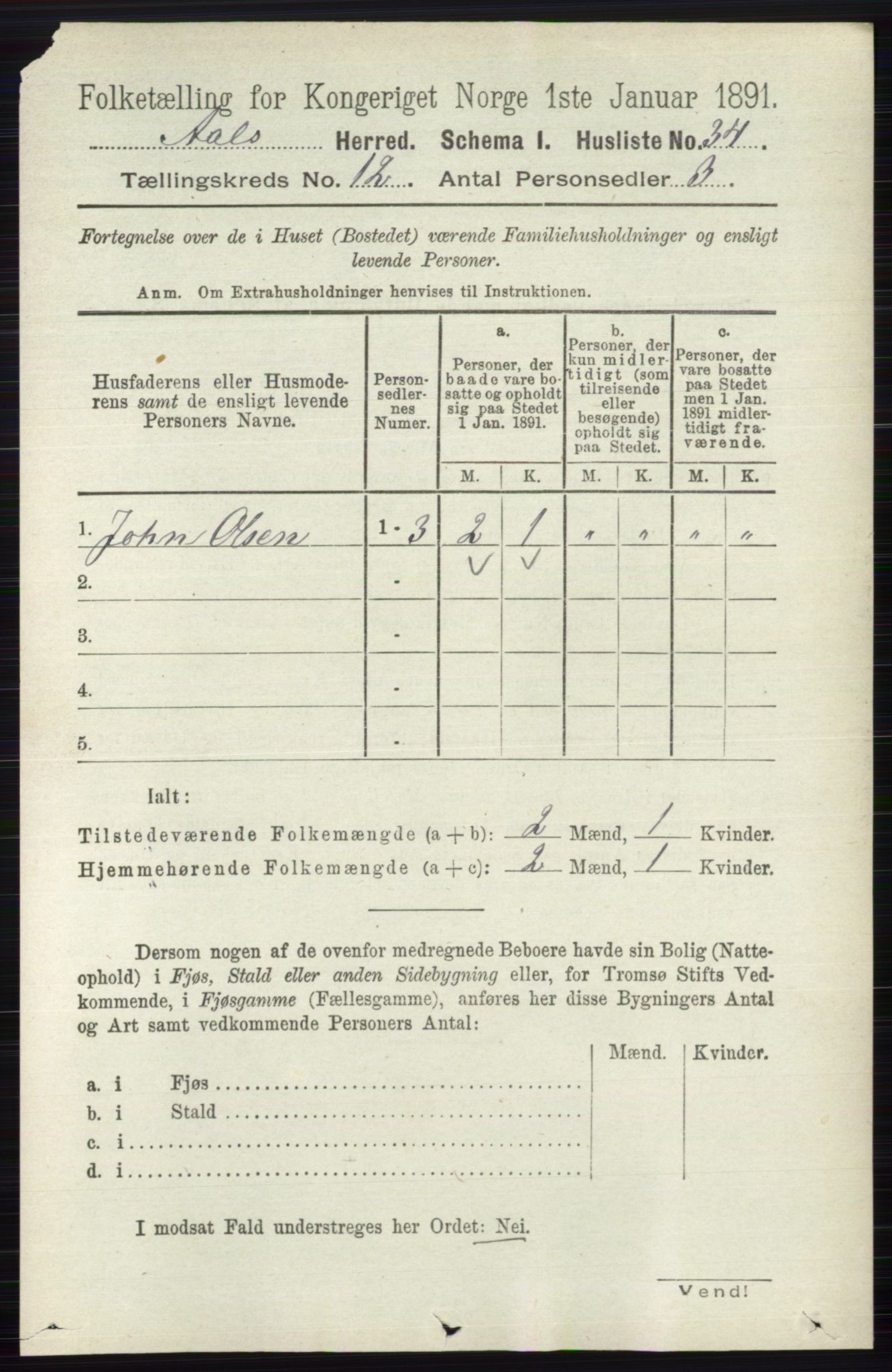 RA, 1891 census for 0619 Ål, 1891, p. 3003