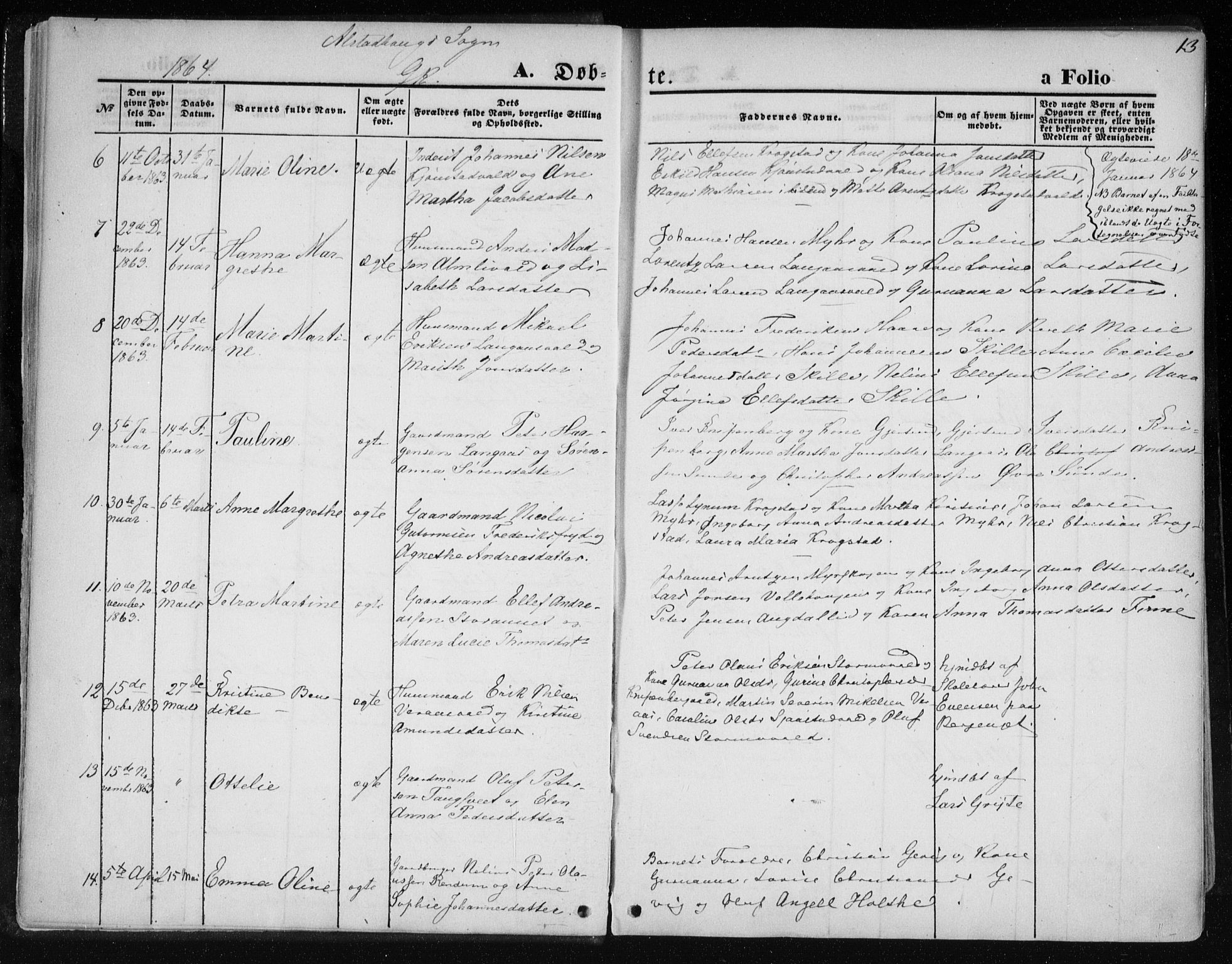 Ministerialprotokoller, klokkerbøker og fødselsregistre - Nord-Trøndelag, SAT/A-1458/717/L0157: Parish register (official) no. 717A08 /1, 1863-1877, p. 13