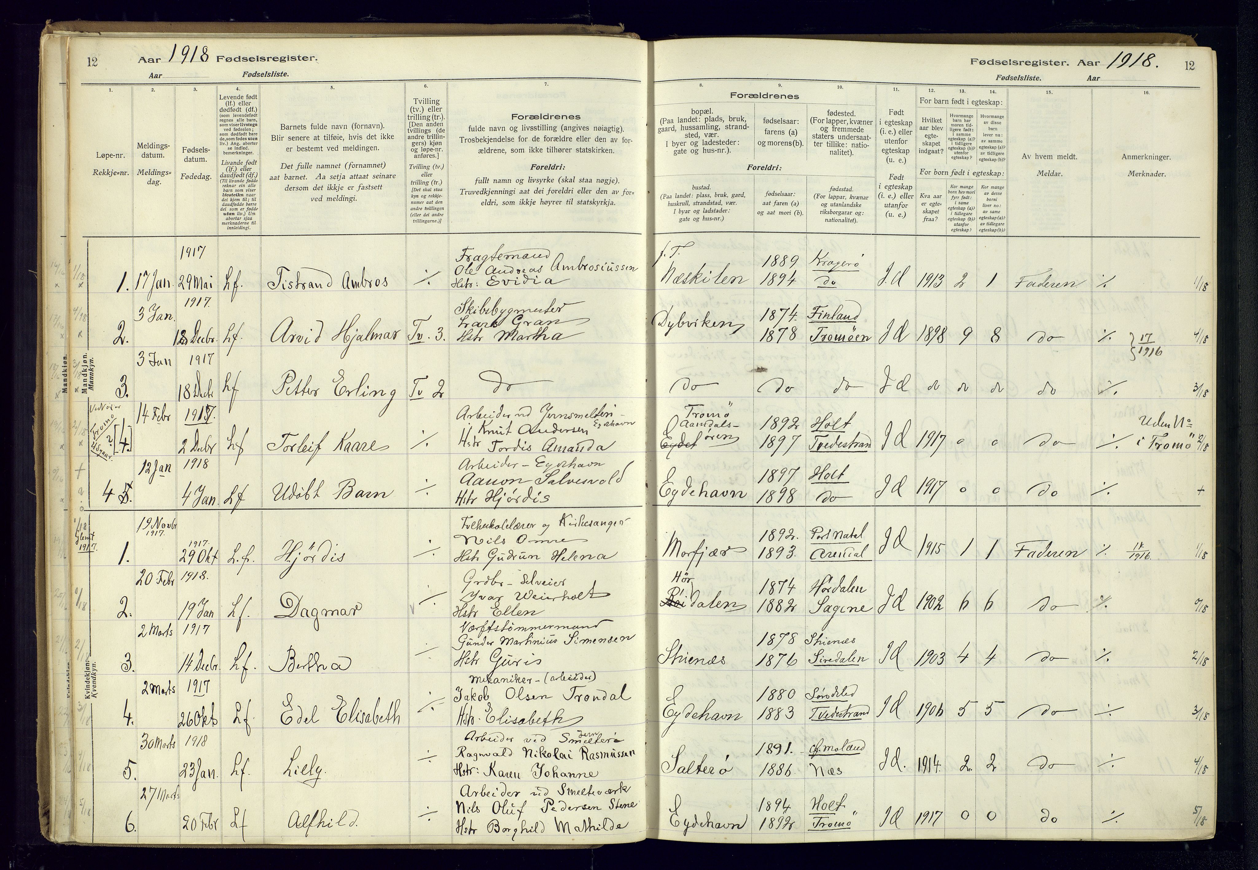 Austre Moland sokneprestkontor, SAK/1111-0001/J/Ja/L0003: Birth register no. A-VI-27, 1916-1950, p. 12