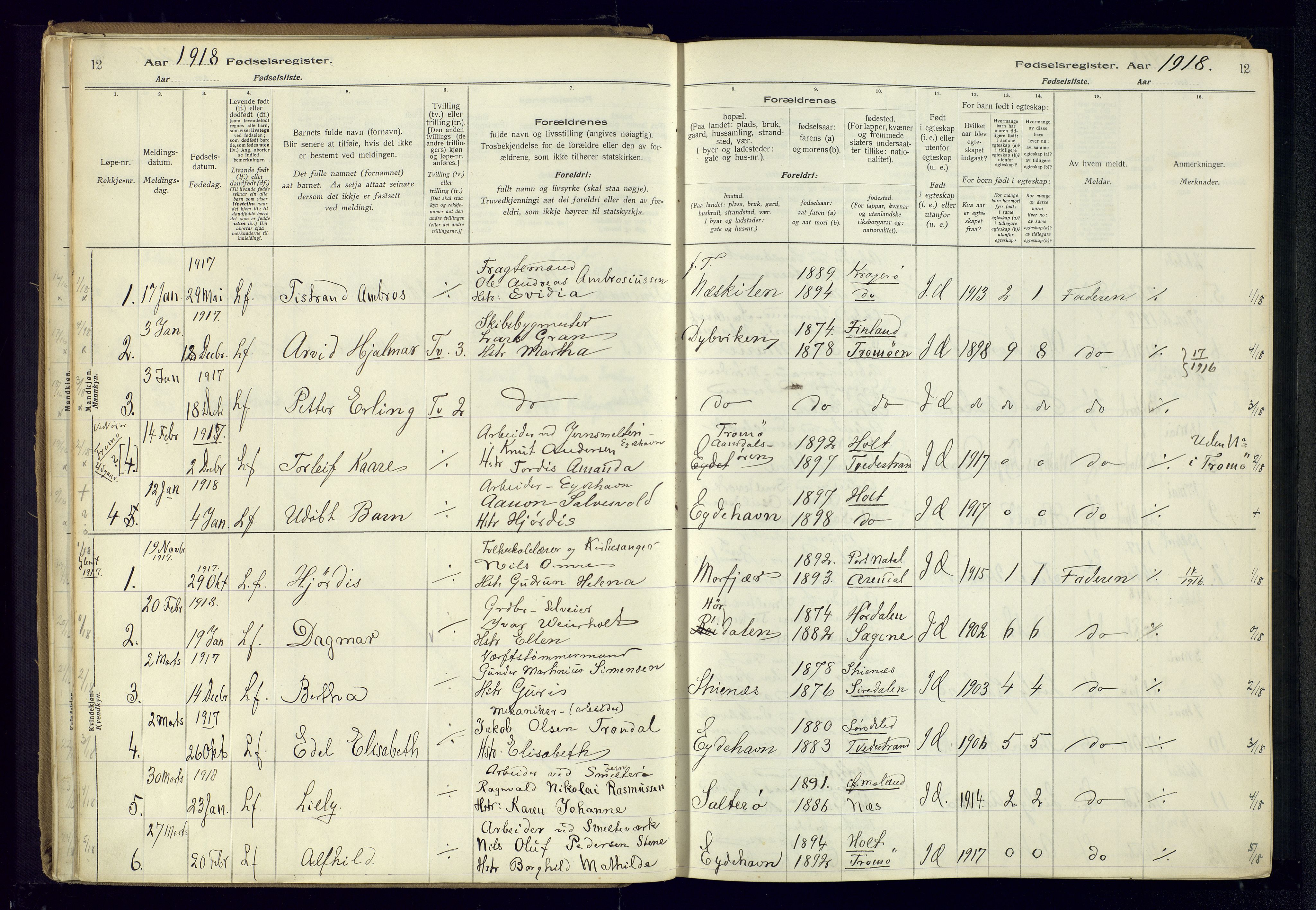 Austre Moland sokneprestkontor, AV/SAK-1111-0001/J/Ja/L0003: Birth register no. A-VI-27, 1916-1950, p. 12