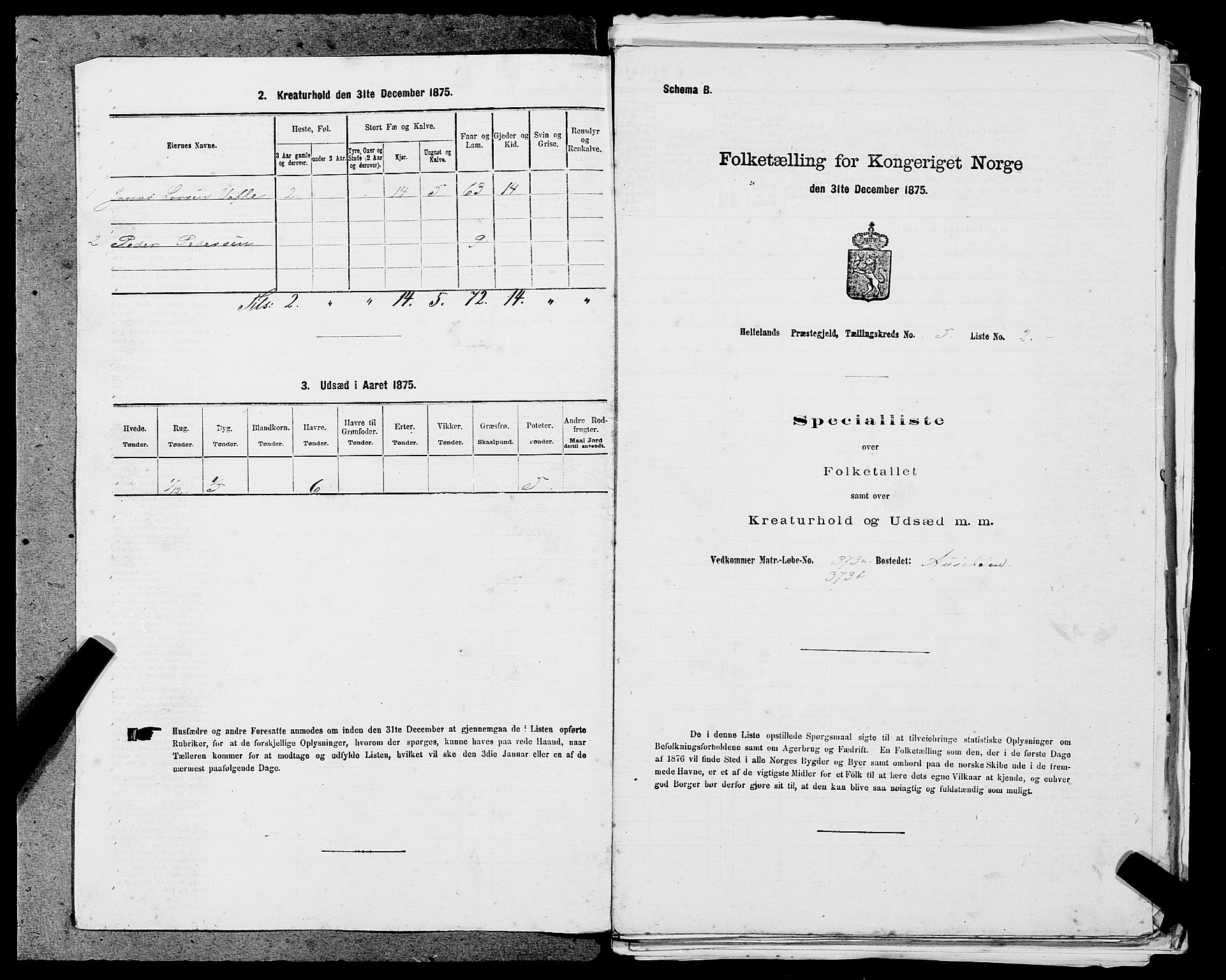 SAST, 1875 census for 1115P Helleland, 1875, p. 979