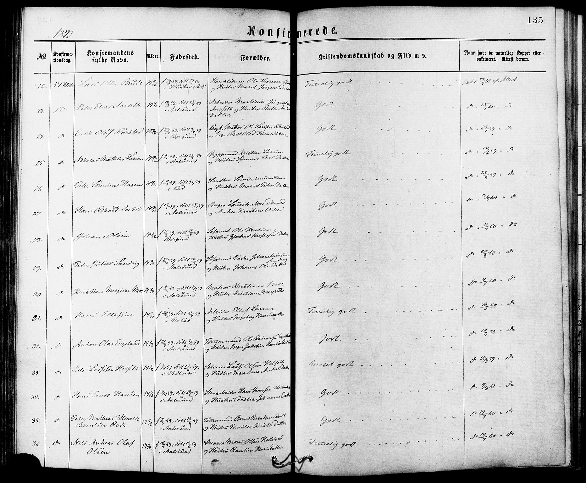 Ministerialprotokoller, klokkerbøker og fødselsregistre - Møre og Romsdal, AV/SAT-A-1454/529/L0453: Parish register (official) no. 529A03, 1872-1877, p. 135