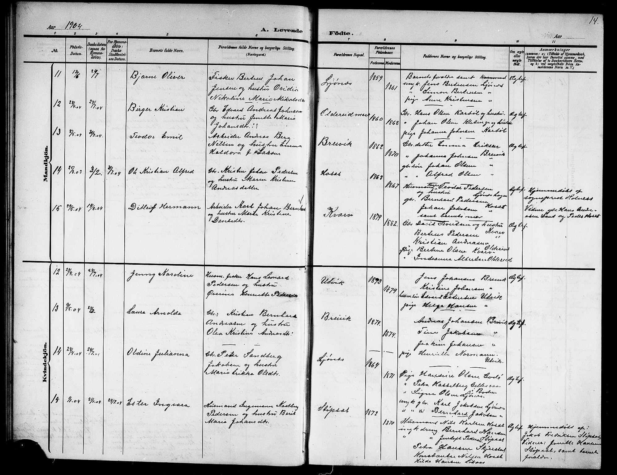 Ministerialprotokoller, klokkerbøker og fødselsregistre - Nordland, AV/SAT-A-1459/852/L0756: Parish register (copy) no. 852C07, 1902-1916, p. 14