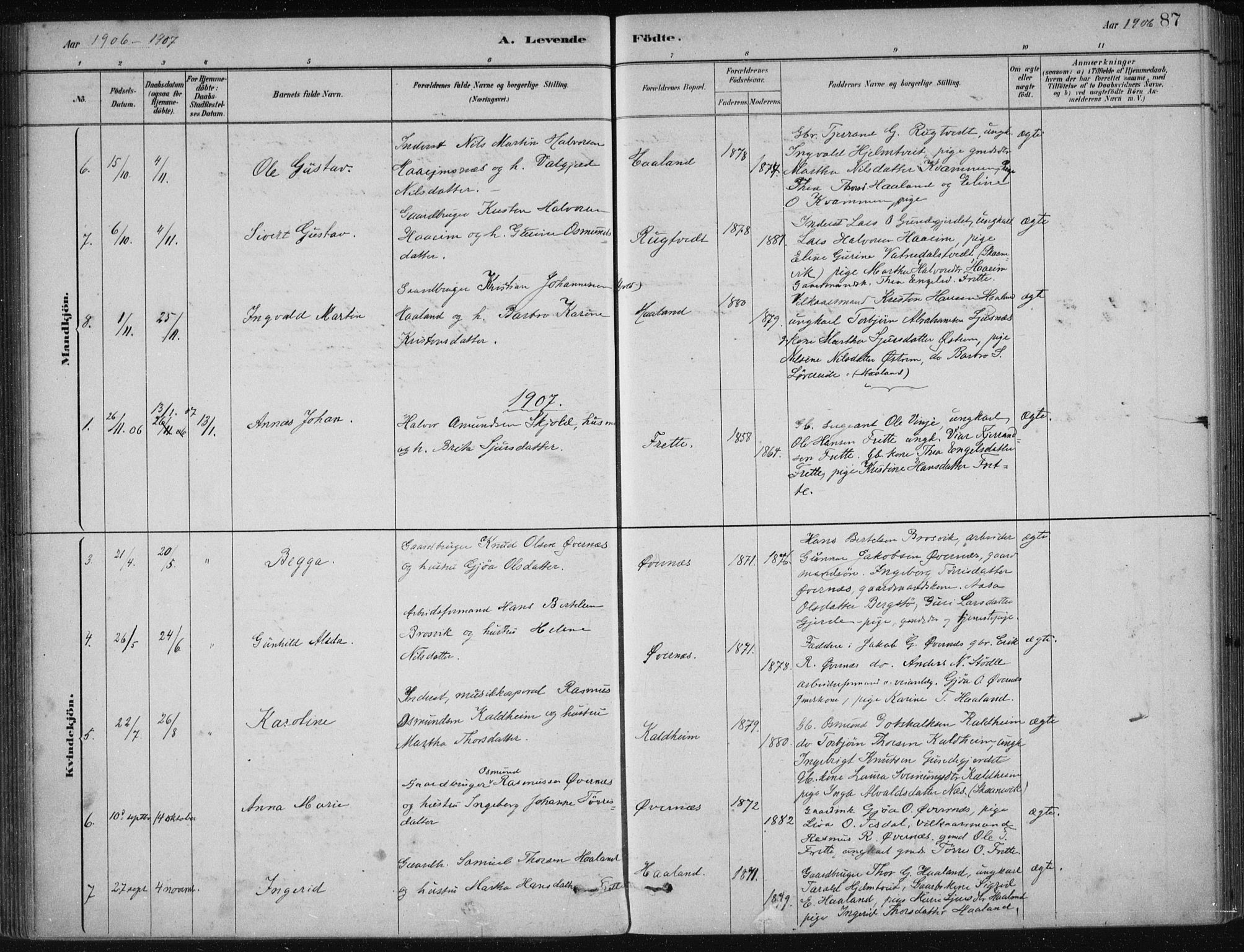 Etne sokneprestembete, AV/SAB-A-75001/H/Haa: Parish register (official) no. D  1, 1879-1919, p. 87