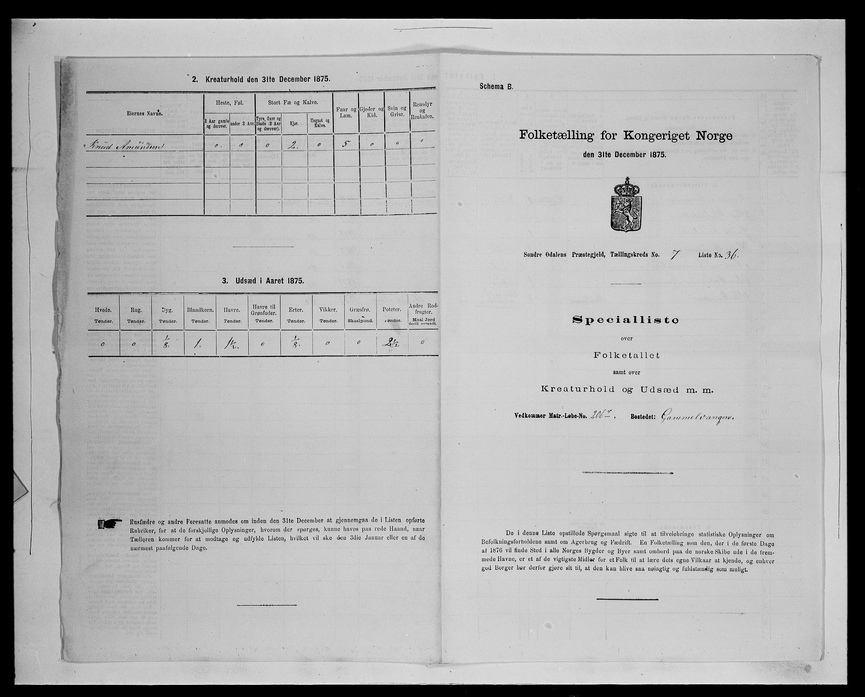 SAH, 1875 census for 0419P Sør-Odal, 1875, p. 729