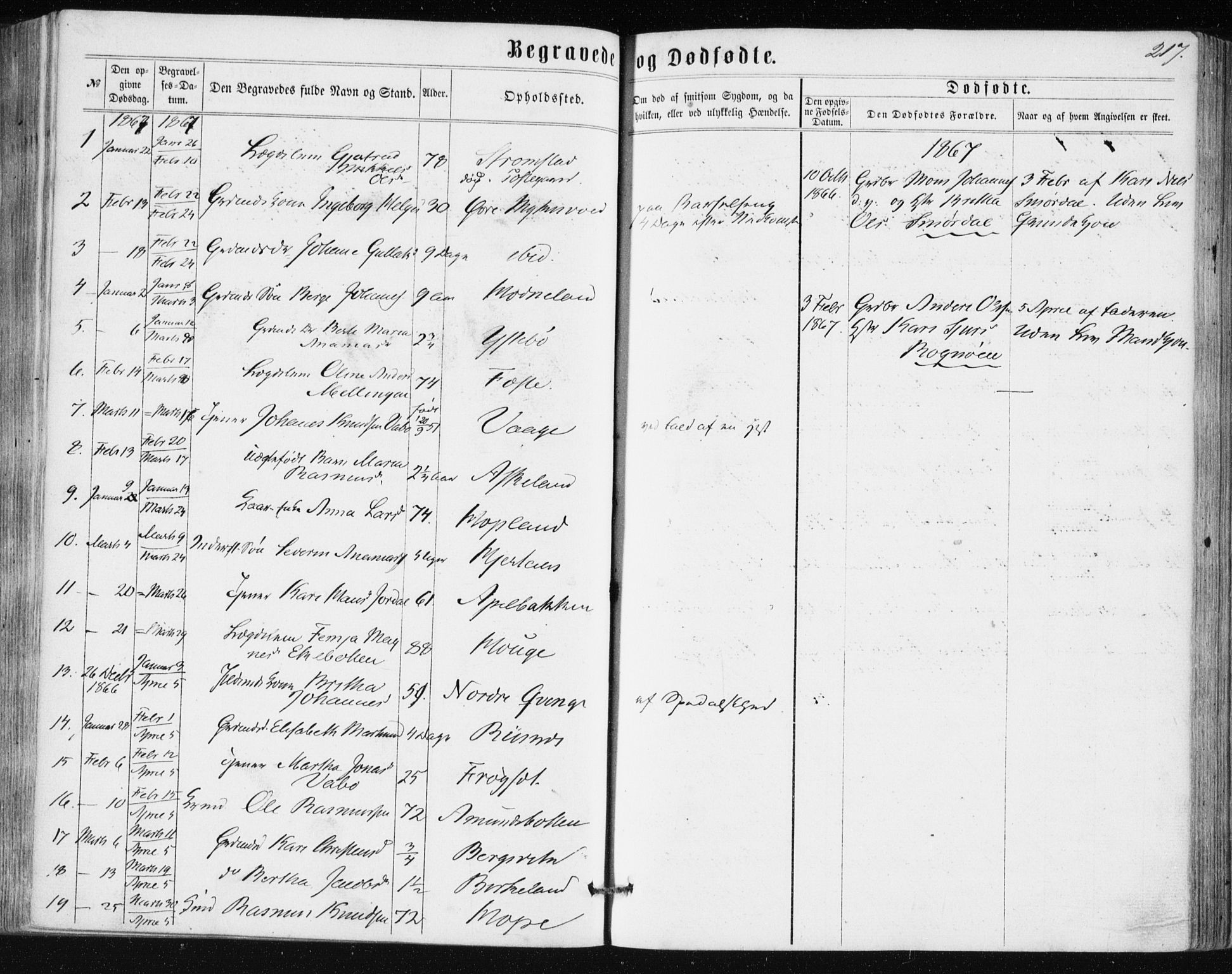 Lindås Sokneprestembete, AV/SAB-A-76701/H/Haa/Haaa/L0016: Parish register (official) no. A 16, 1863-1875, p. 217