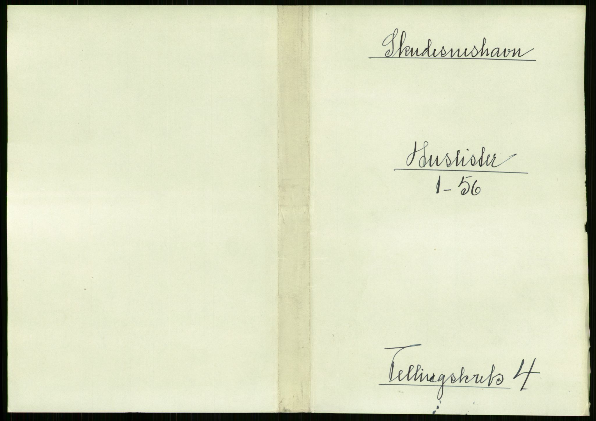 RA, 1891 census for 1104 Skudeneshavn, 1891, p. 294
