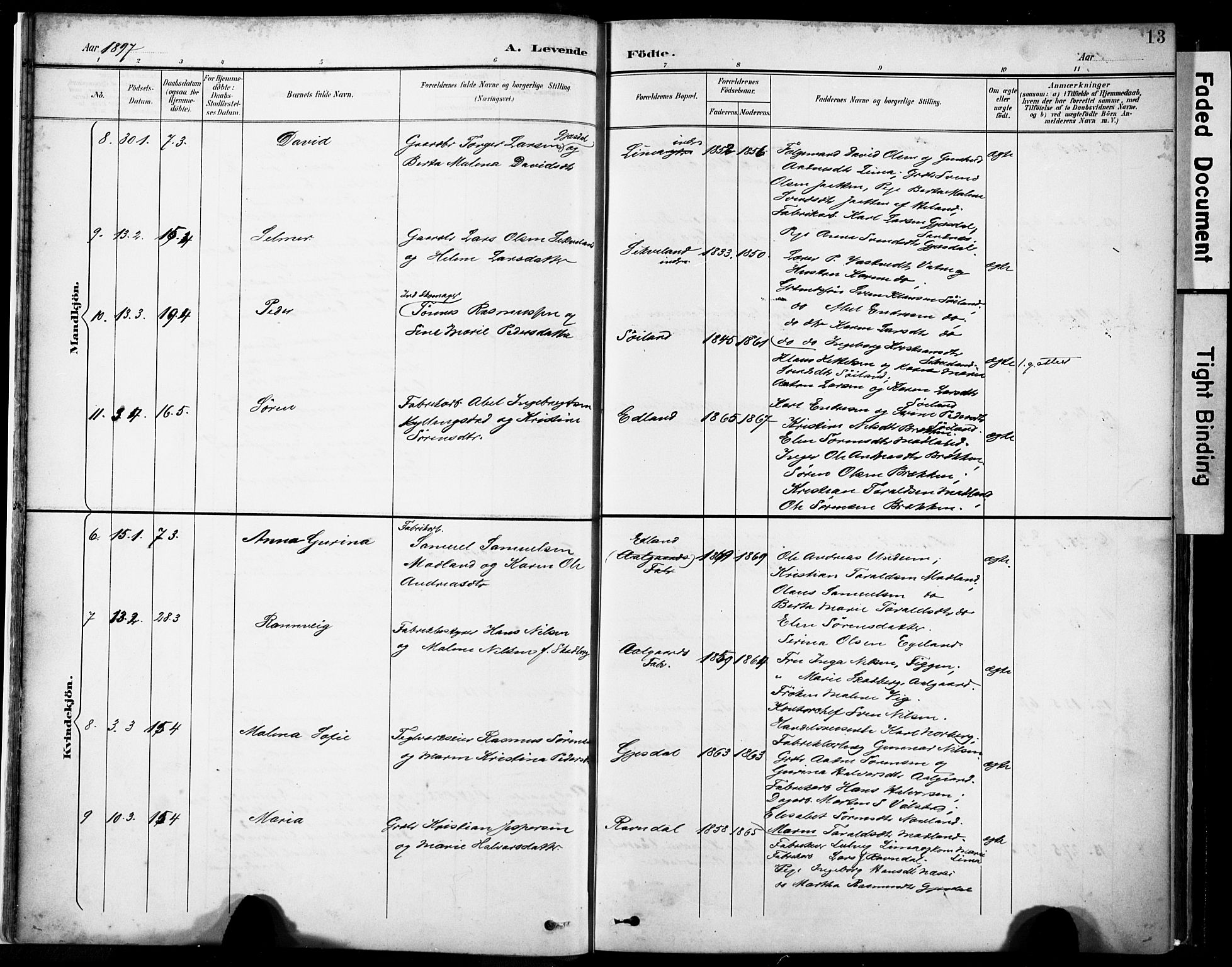 Lye sokneprestkontor, AV/SAST-A-101794/001/30BA/L0012: Parish register (official) no. A 11, 1896-1909, p. 13