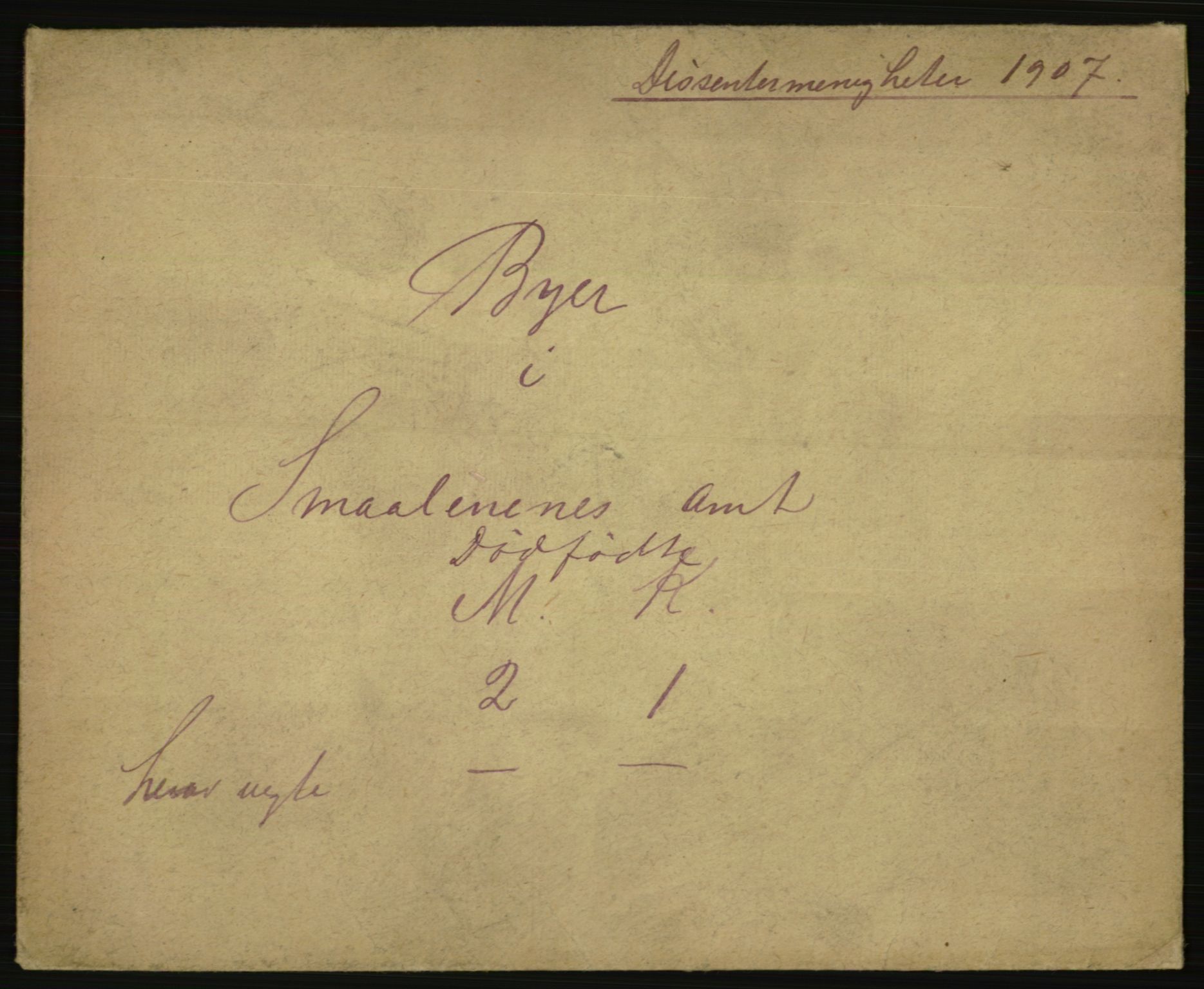 Statistisk sentralbyrå, Sosiodemografiske emner, Befolkning, AV/RA-S-2228/E/L0005: Fødte, gifte, døde dissentere., 1907, p. 3023