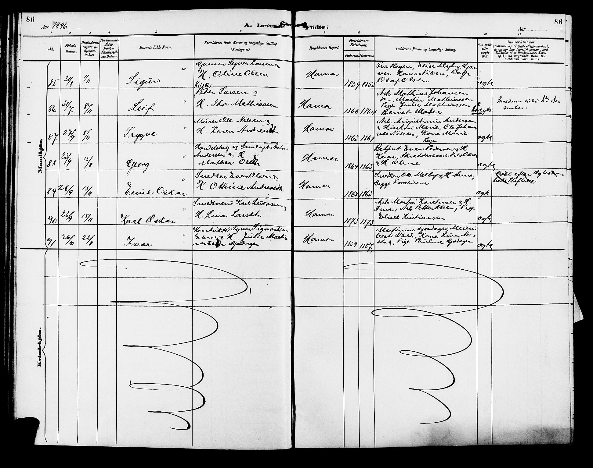 Vang prestekontor, Hedmark, AV/SAH-PREST-008/H/Ha/Hab/L0013: Parish register (copy) no. 13, 1890-1899, p. 86