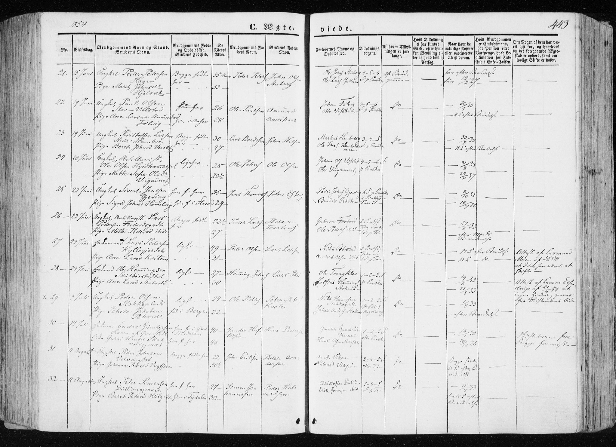 Ministerialprotokoller, klokkerbøker og fødselsregistre - Nord-Trøndelag, AV/SAT-A-1458/709/L0074: Parish register (official) no. 709A14, 1845-1858, p. 443