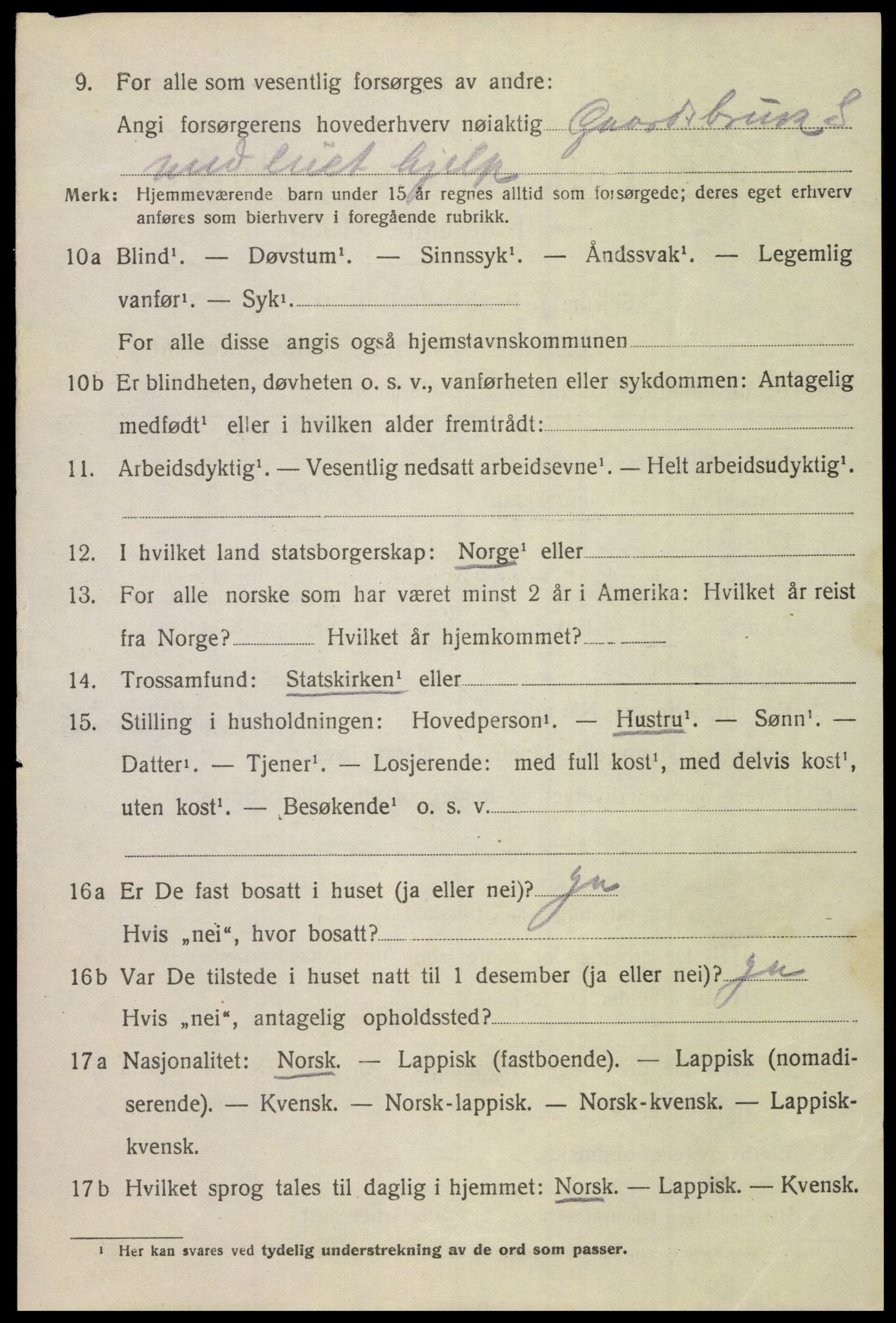 SAT, 1920 census for Bodin, 1920, p. 3493