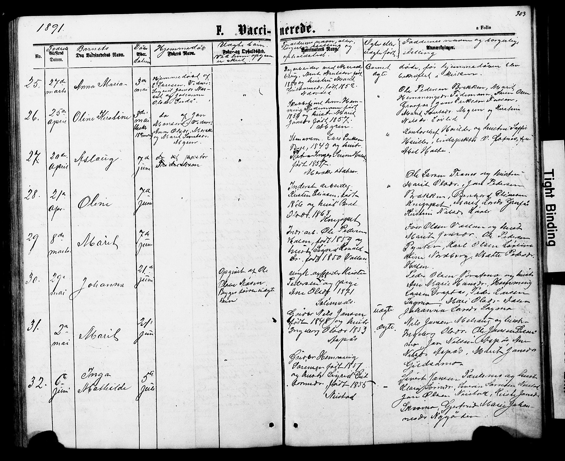 Ministerialprotokoller, klokkerbøker og fødselsregistre - Nord-Trøndelag, AV/SAT-A-1458/706/L0049: Parish register (copy) no. 706C01, 1864-1895, p. 303