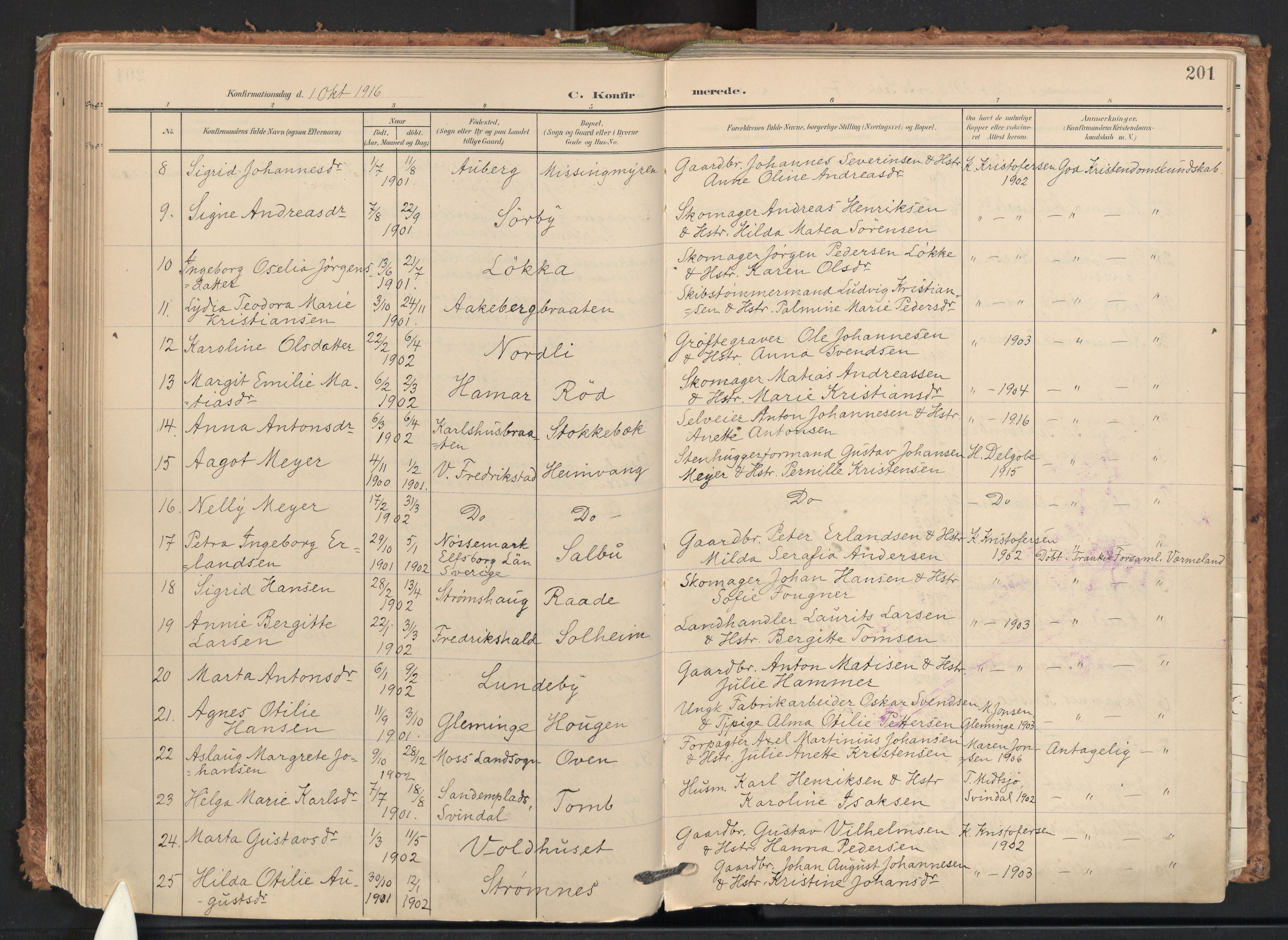 Råde prestekontor kirkebøker, AV/SAO-A-2009/F/Fa/L0008: Parish register (official) no. 8, 1903-1924, p. 201