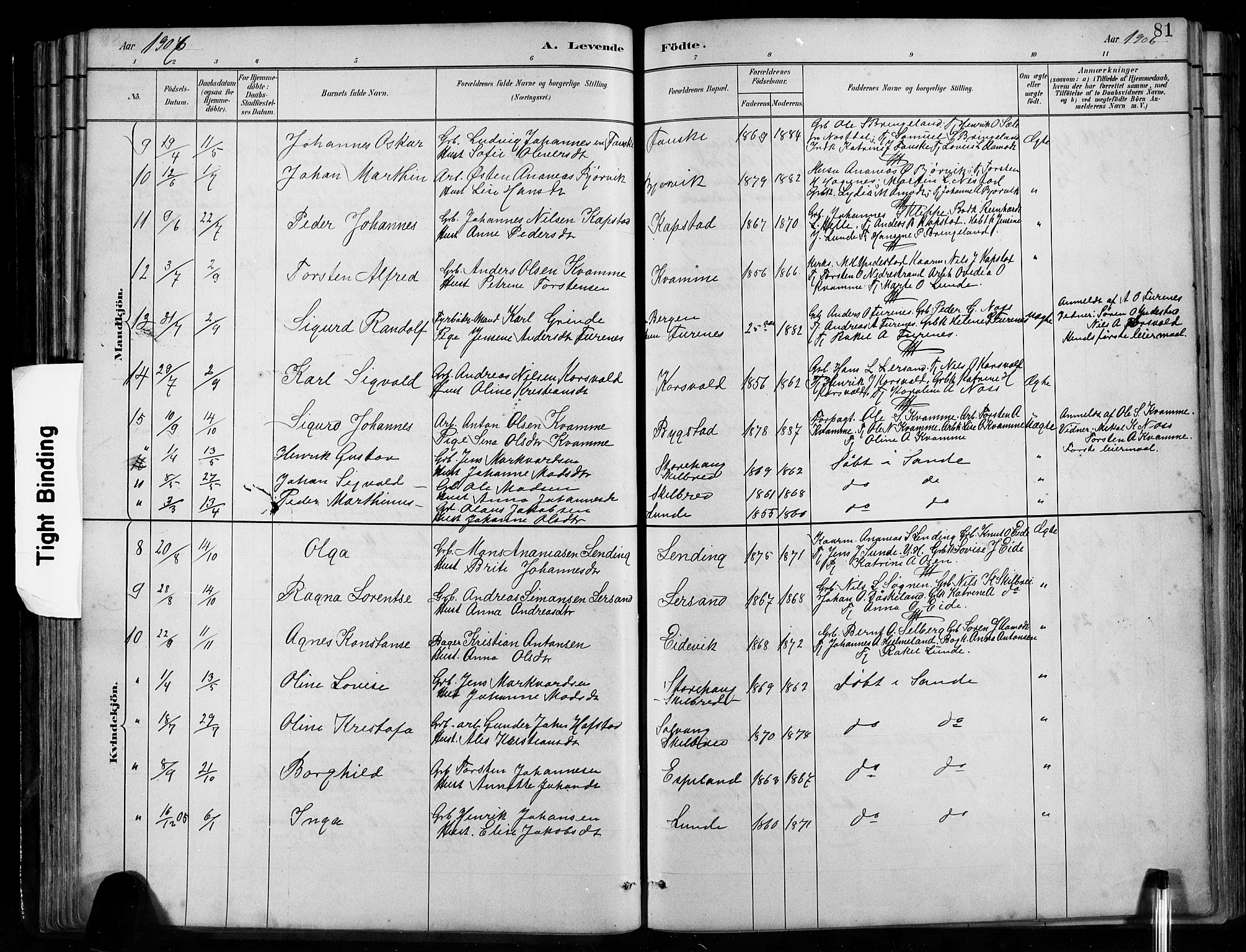 Gaular sokneprestembete, AV/SAB-A-80001/H/Hab: Parish register (copy) no. B 3, 1882-1913, p. 81