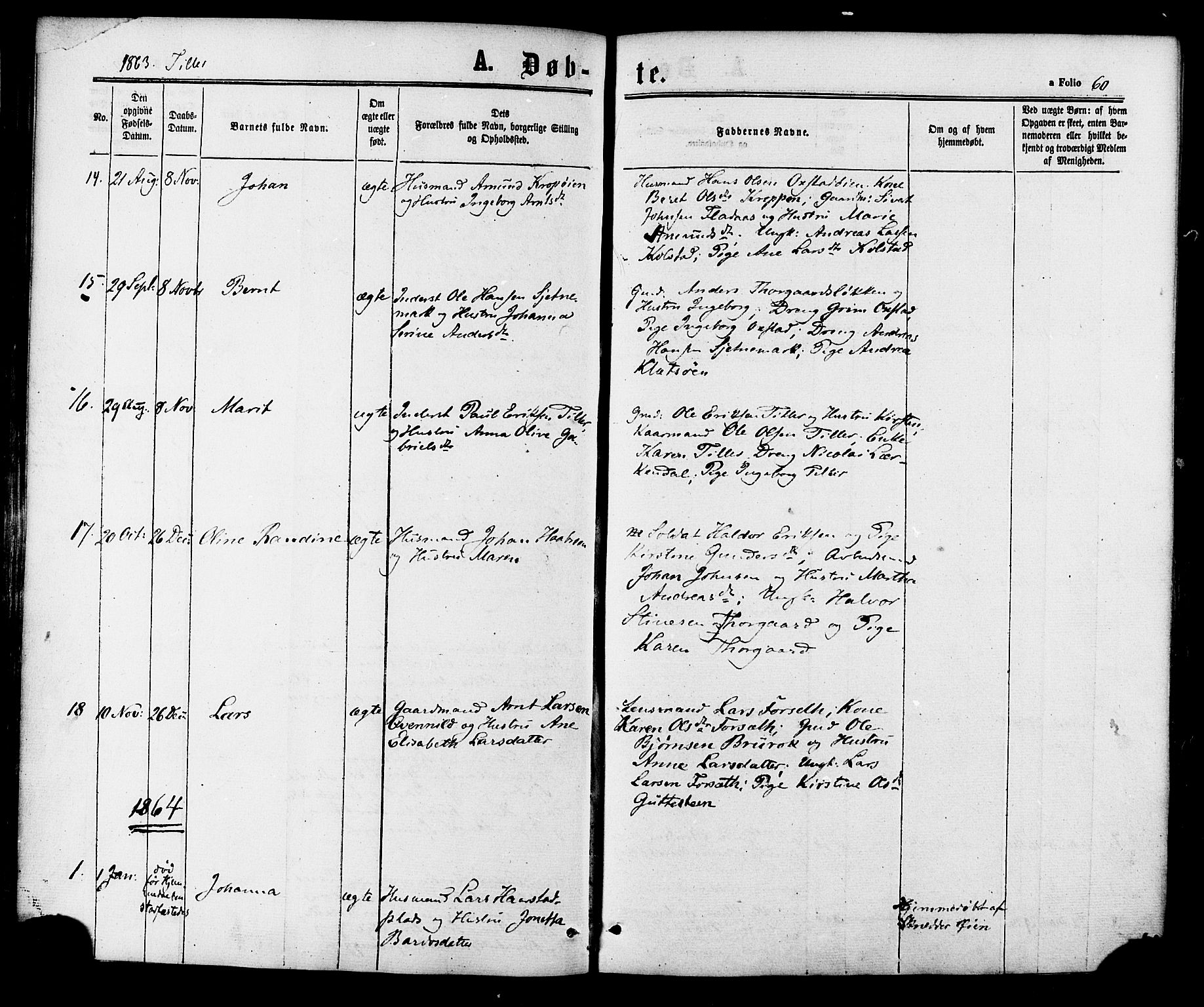 Ministerialprotokoller, klokkerbøker og fødselsregistre - Sør-Trøndelag, SAT/A-1456/618/L0443: Parish register (official) no. 618A06 /2, 1863-1879, p. 60