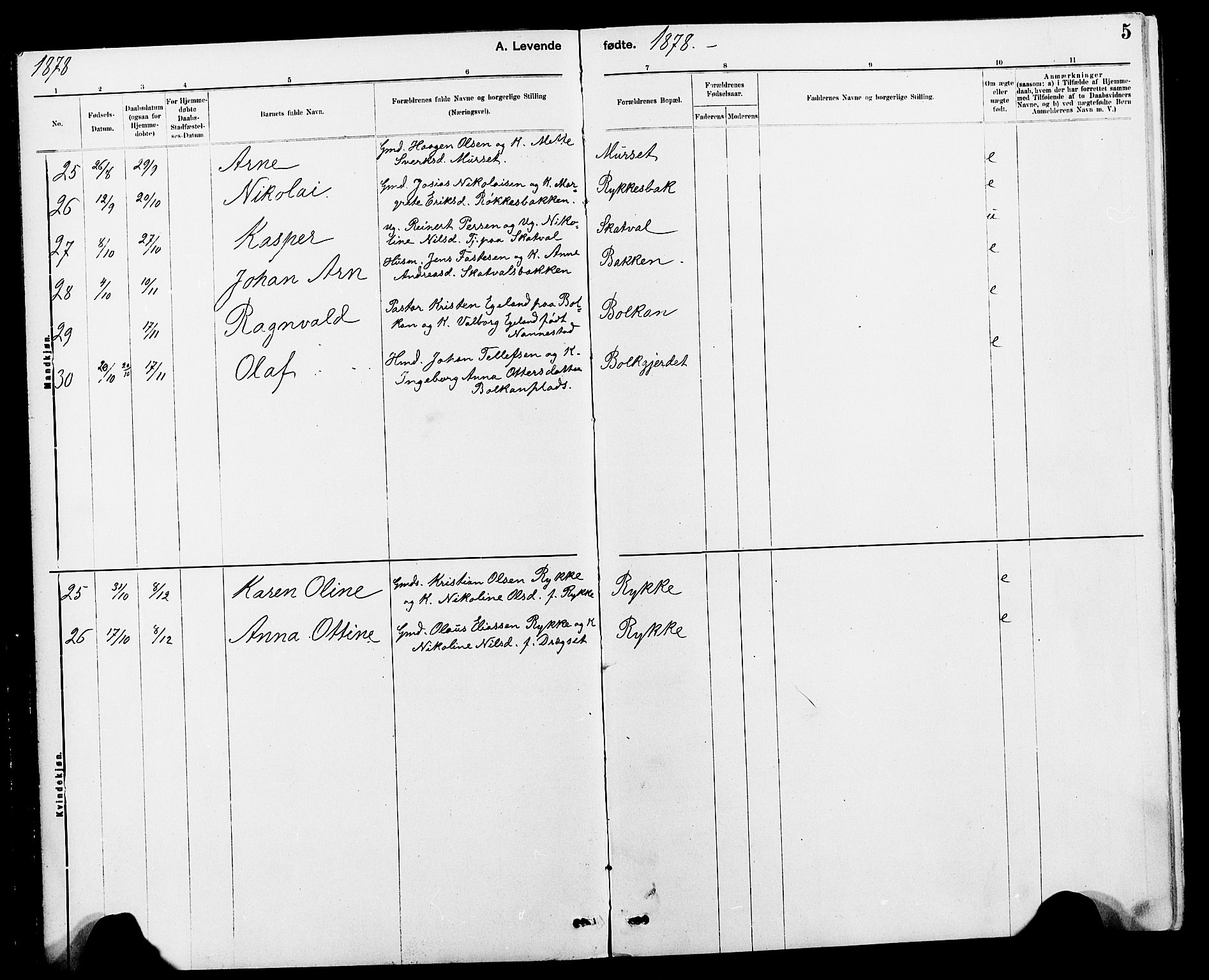 Ministerialprotokoller, klokkerbøker og fødselsregistre - Nord-Trøndelag, AV/SAT-A-1458/712/L0103: Parish register (copy) no. 712C01, 1878-1917, p. 5