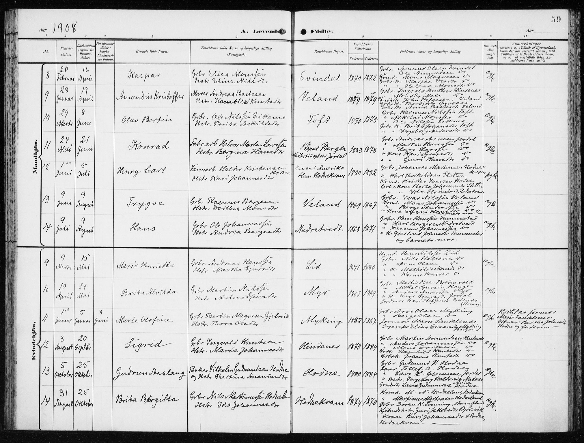 Lindås Sokneprestembete, SAB/A-76701/H/Haa: Parish register (official) no. F  2, 1897-1909, p. 59