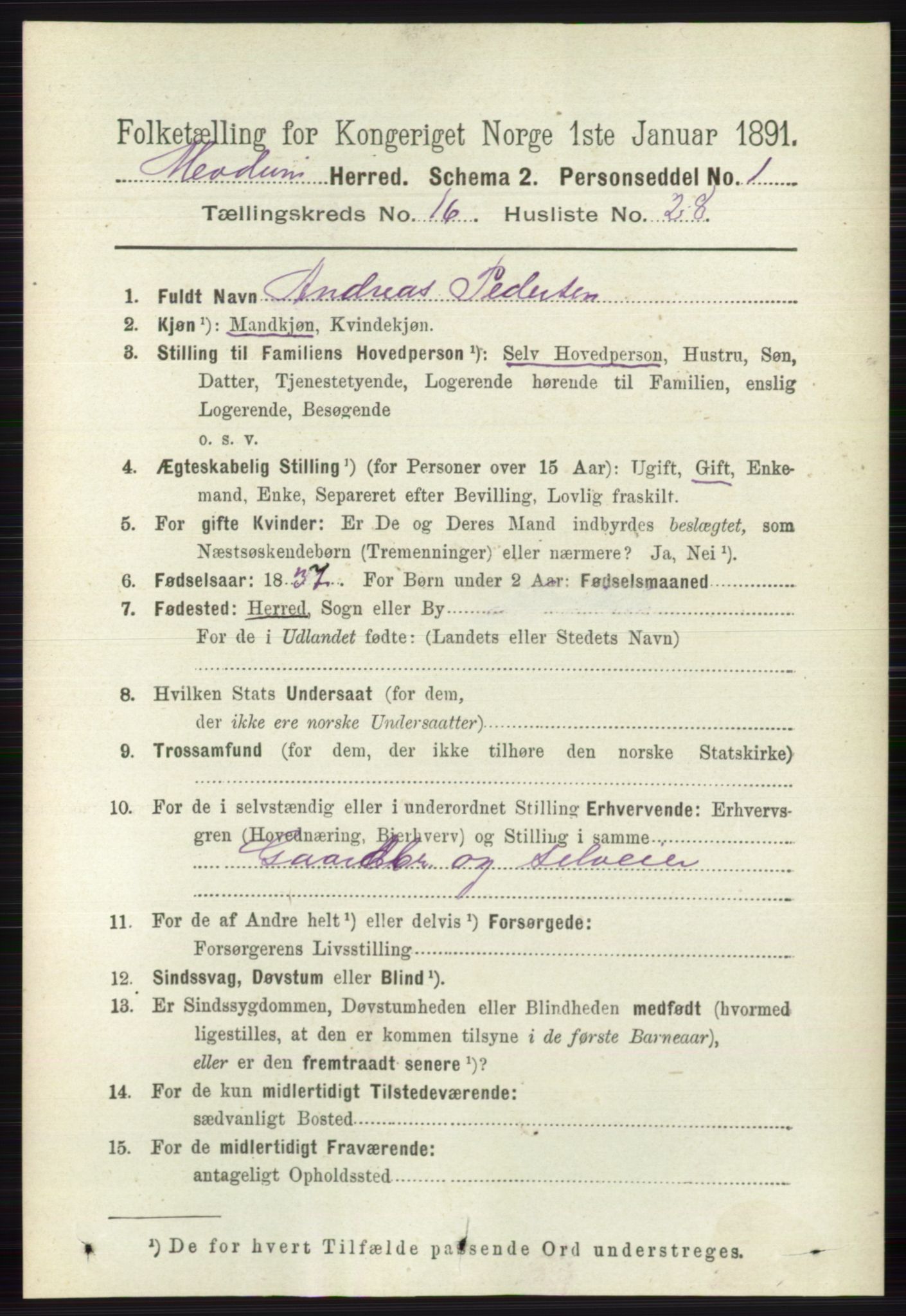 RA, 1891 census for 0623 Modum, 1891, p. 6335