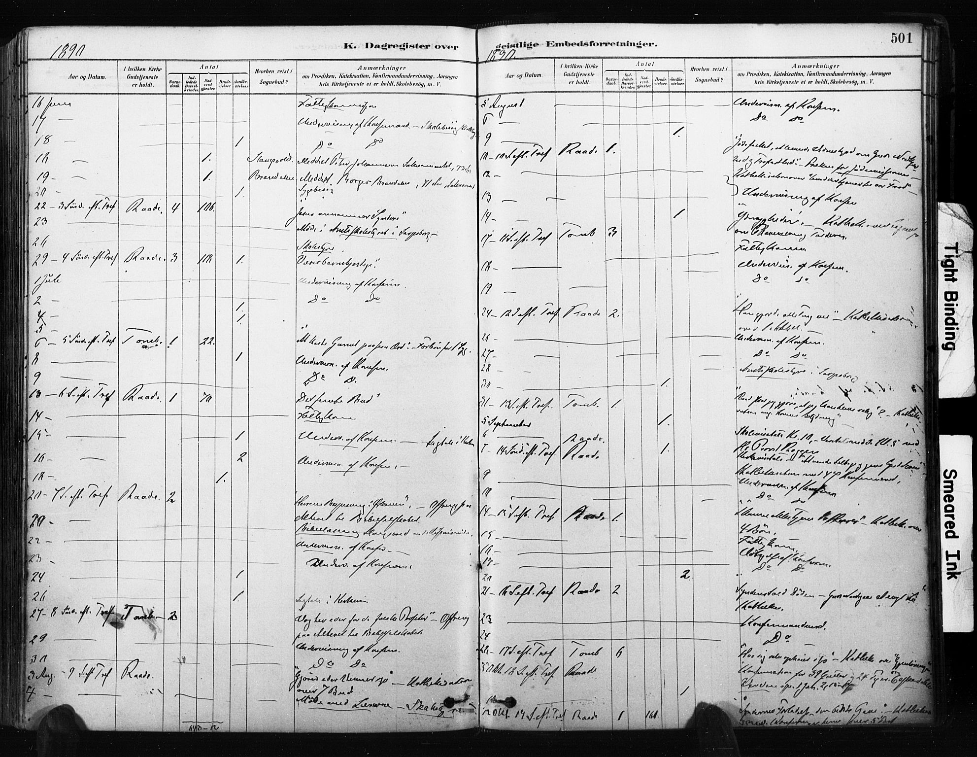 Råde prestekontor kirkebøker, AV/SAO-A-2009/F/Fa/L0007: Parish register (official) no. 7, 1878-1902, p. 501