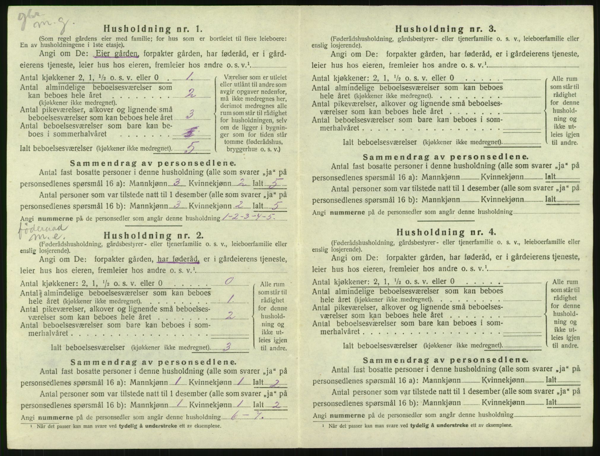 SAT, 1920 census for Bolsøy, 1920, p. 1046