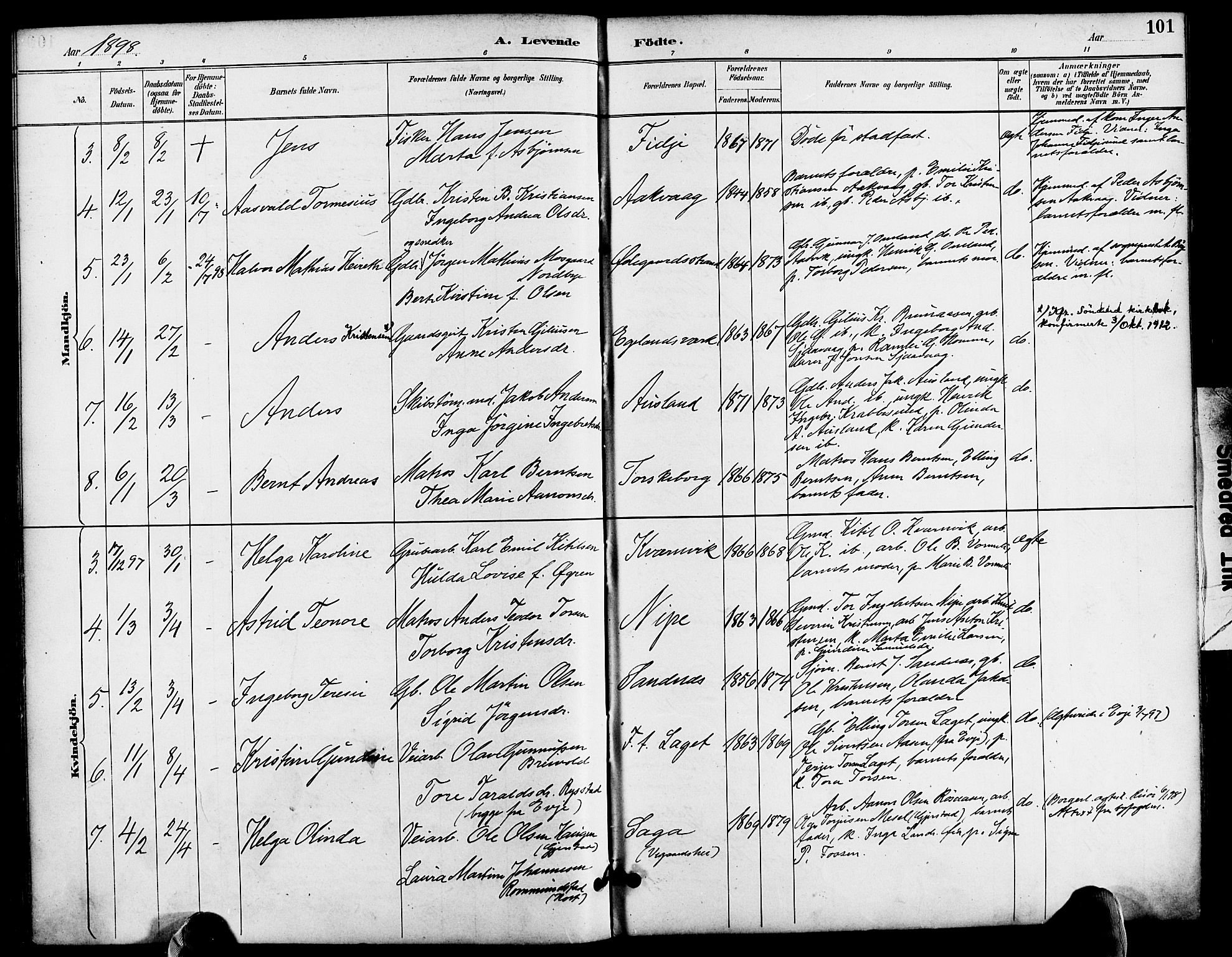 Søndeled sokneprestkontor, AV/SAK-1111-0038/F/Fa/L0005: Parish register (official) no. A 5, 1889-1899, p. 101