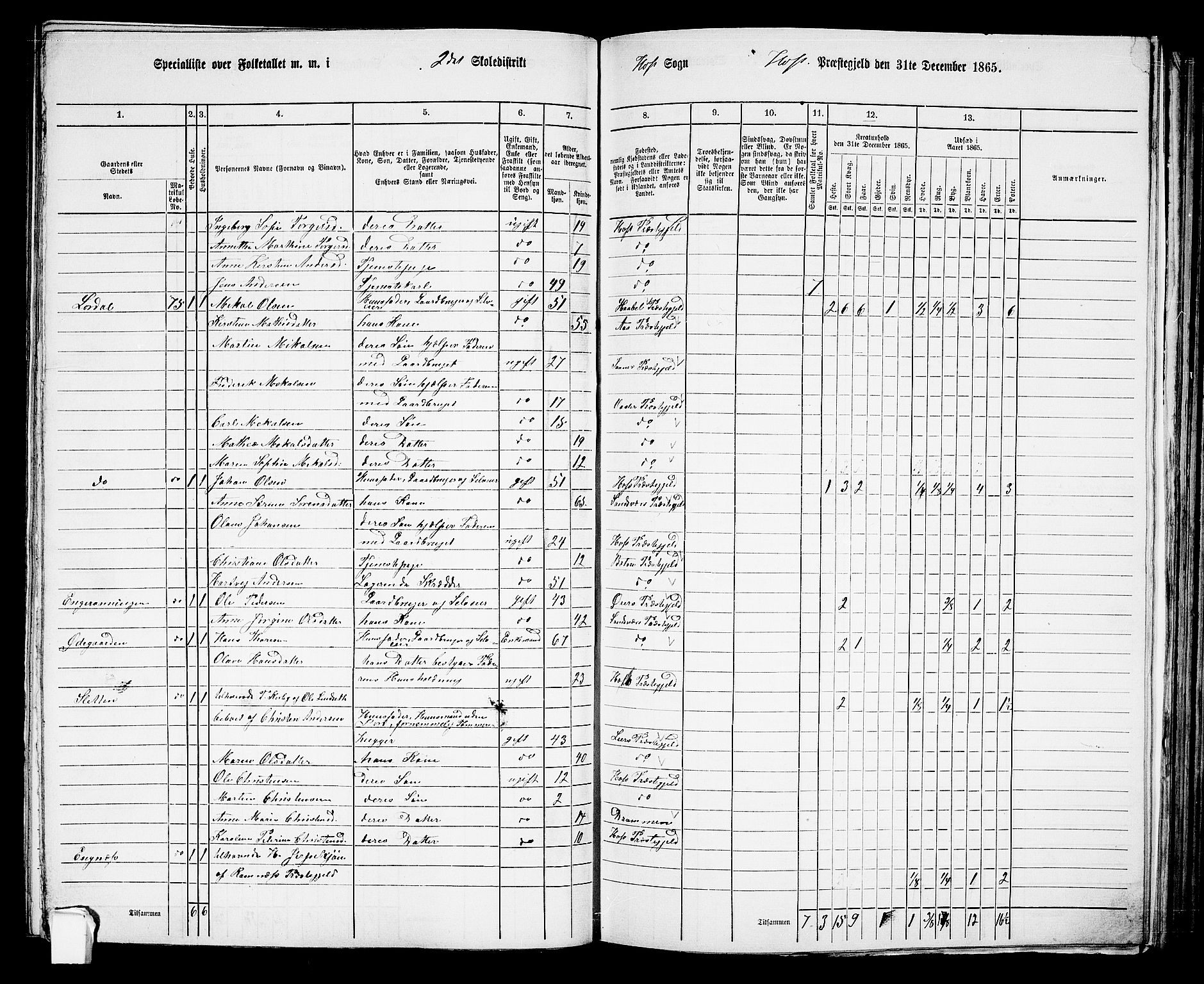 RA, 1865 census for Hof, 1865, p. 102