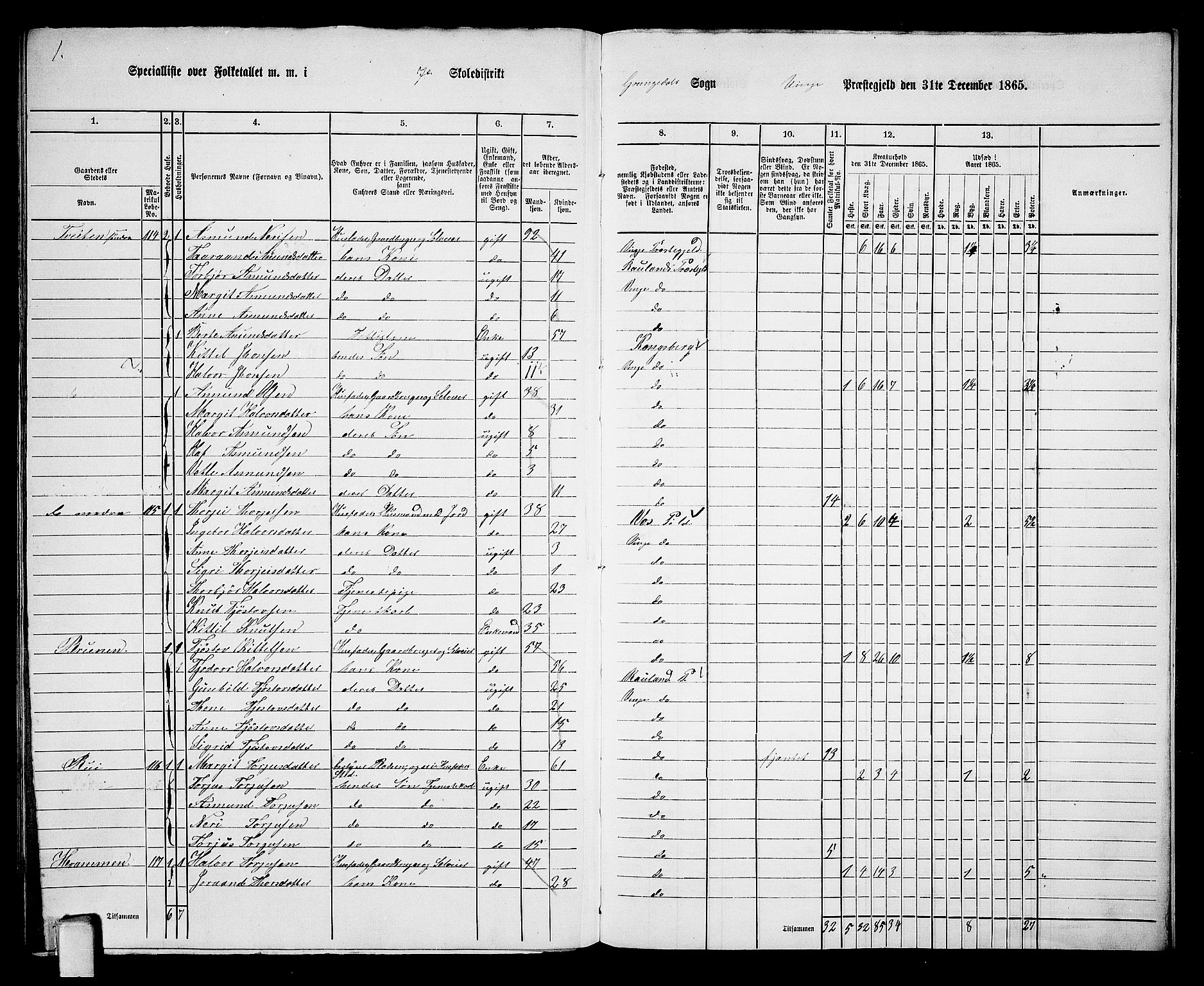 RA, 1865 census for Vinje, 1865, p. 69