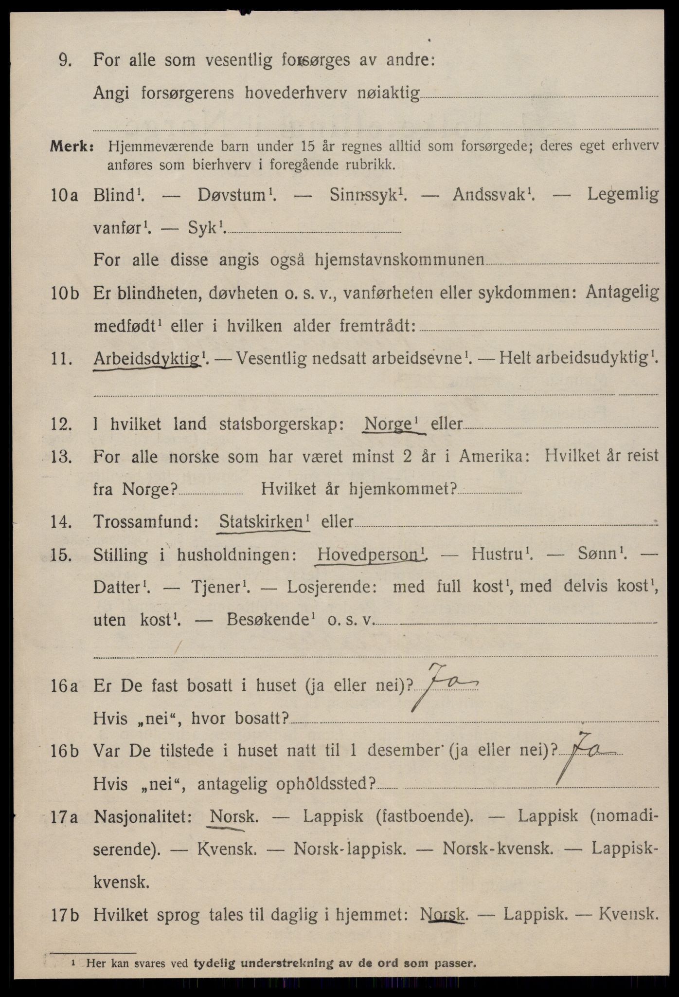 SAT, 1920 census for Strinda, 1920, p. 2917