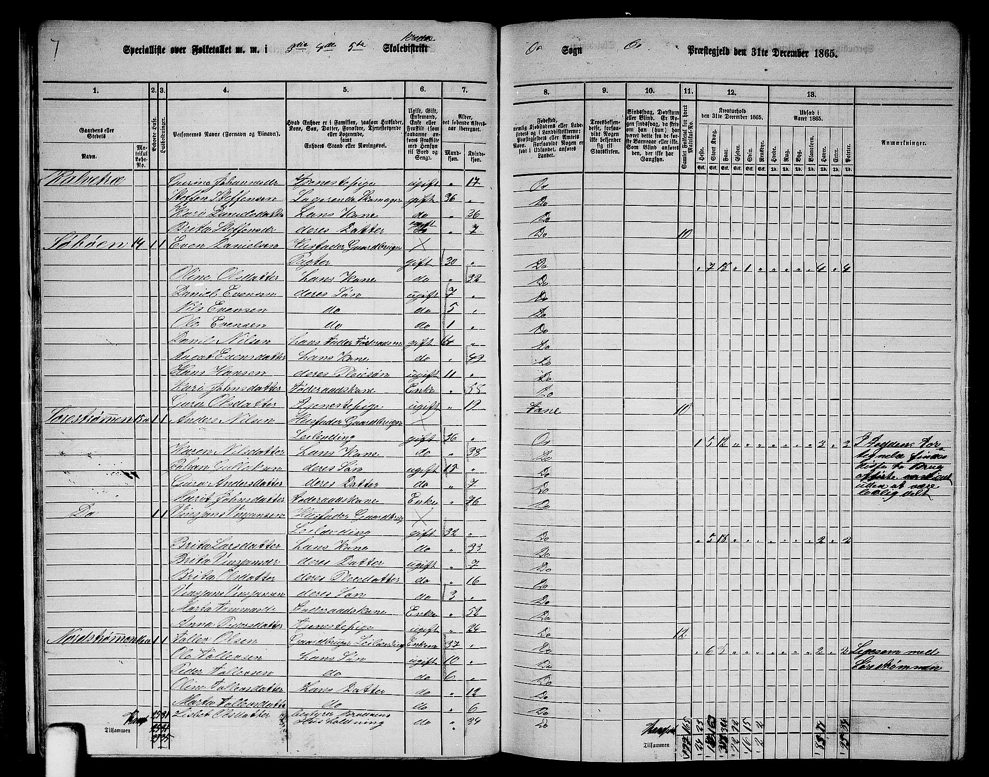 RA, 1865 census for Os, 1865, p. 18