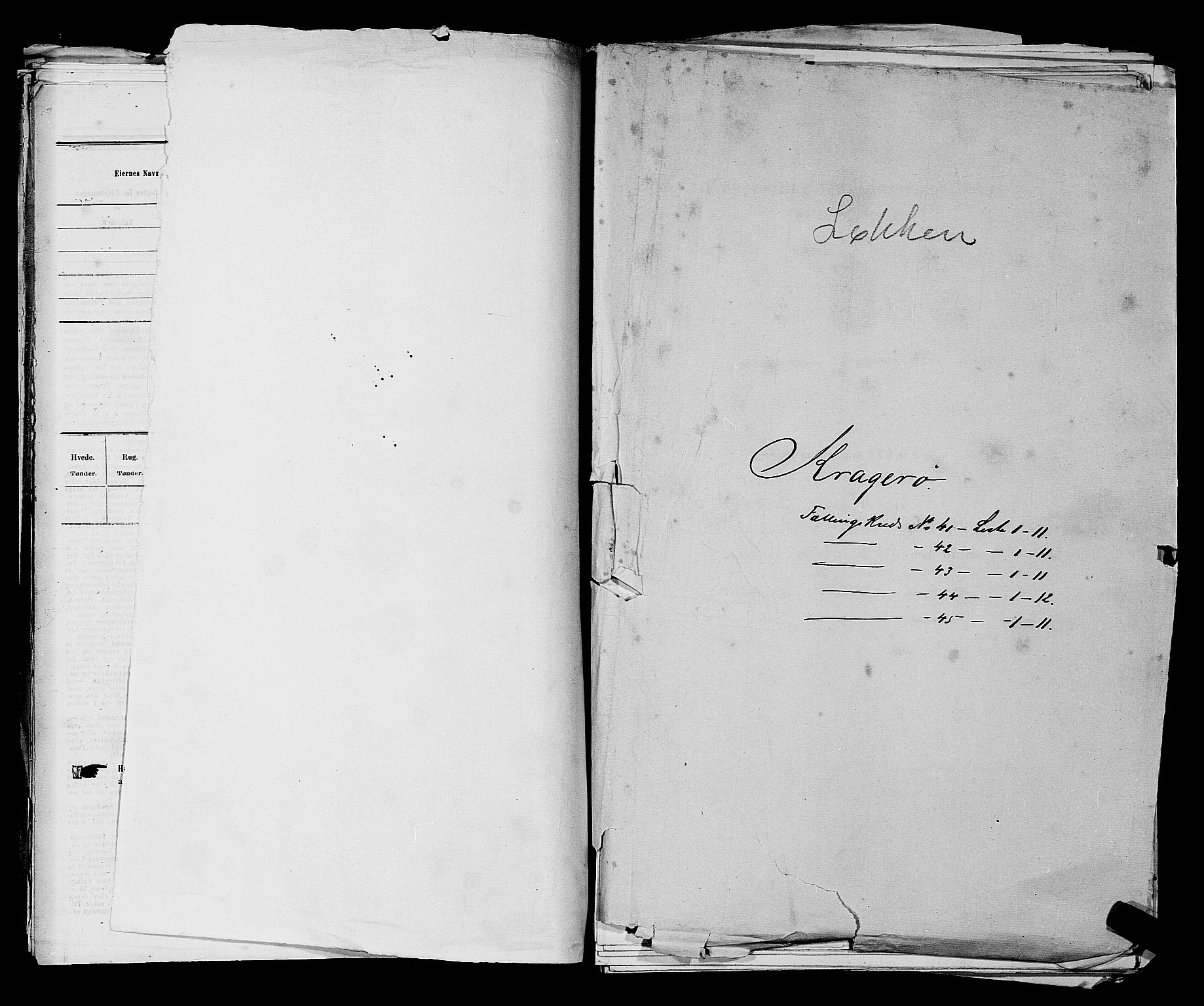 SAKO, 1875 census for 0801P Kragerø, 1875, p. 894
