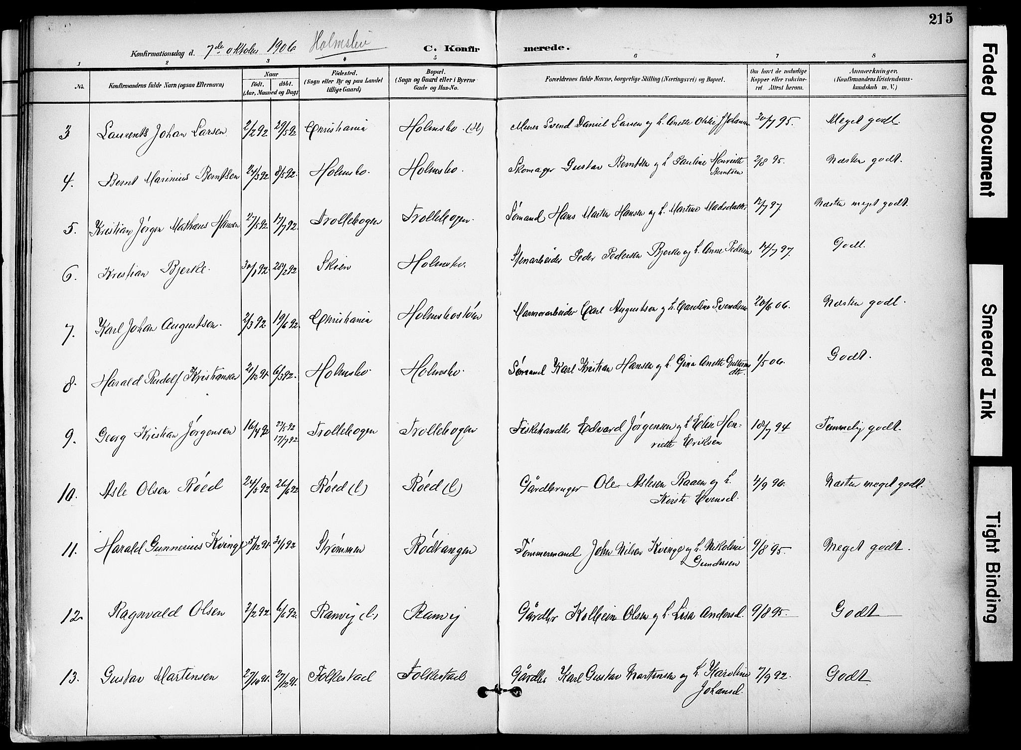 Hurum kirkebøker, AV/SAKO-A-229/F/Fa/L0015: Parish register (official) no. 15, 1896-1908, p. 215