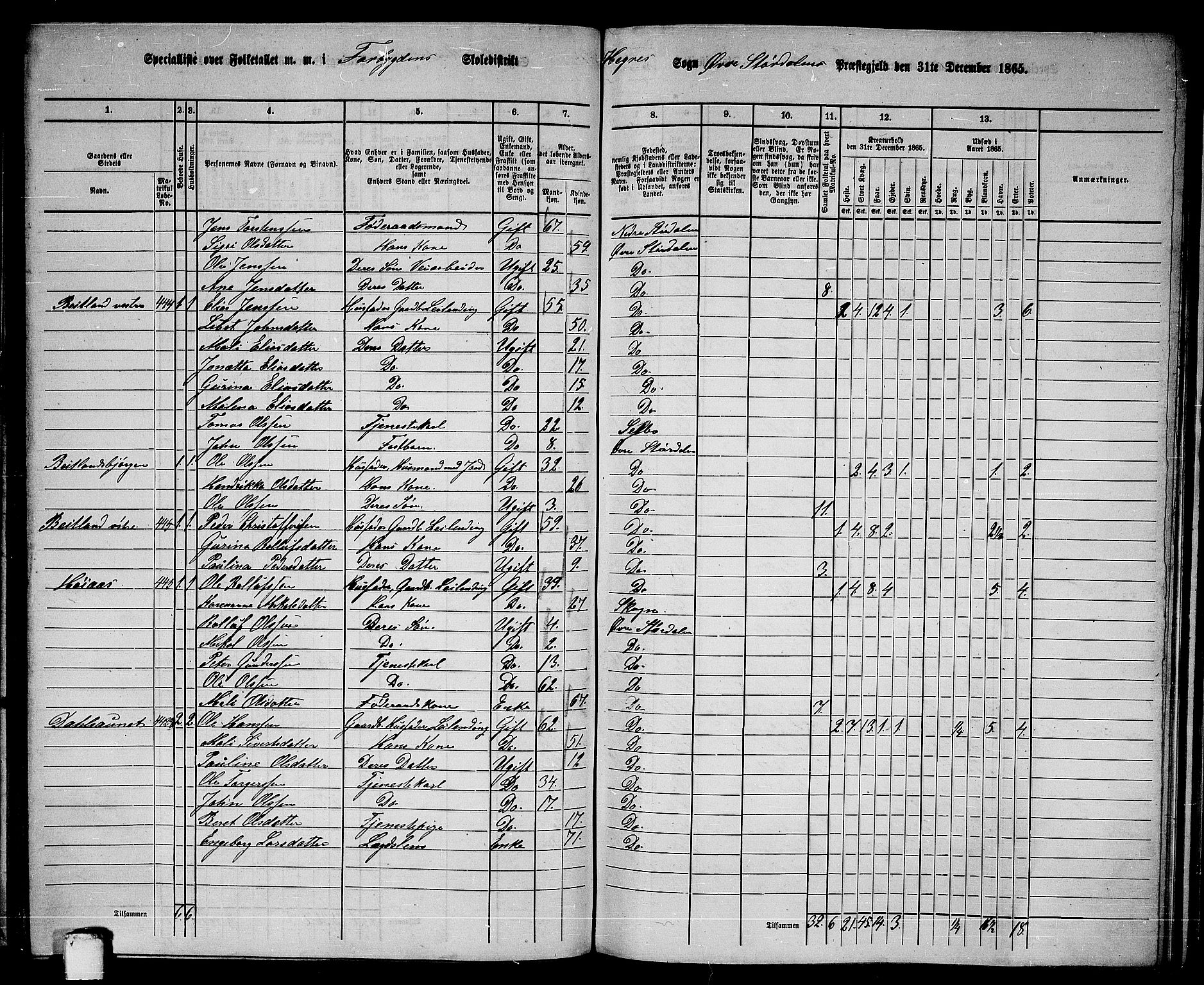 RA, 1865 census for Øvre Stjørdal, 1865, p. 117