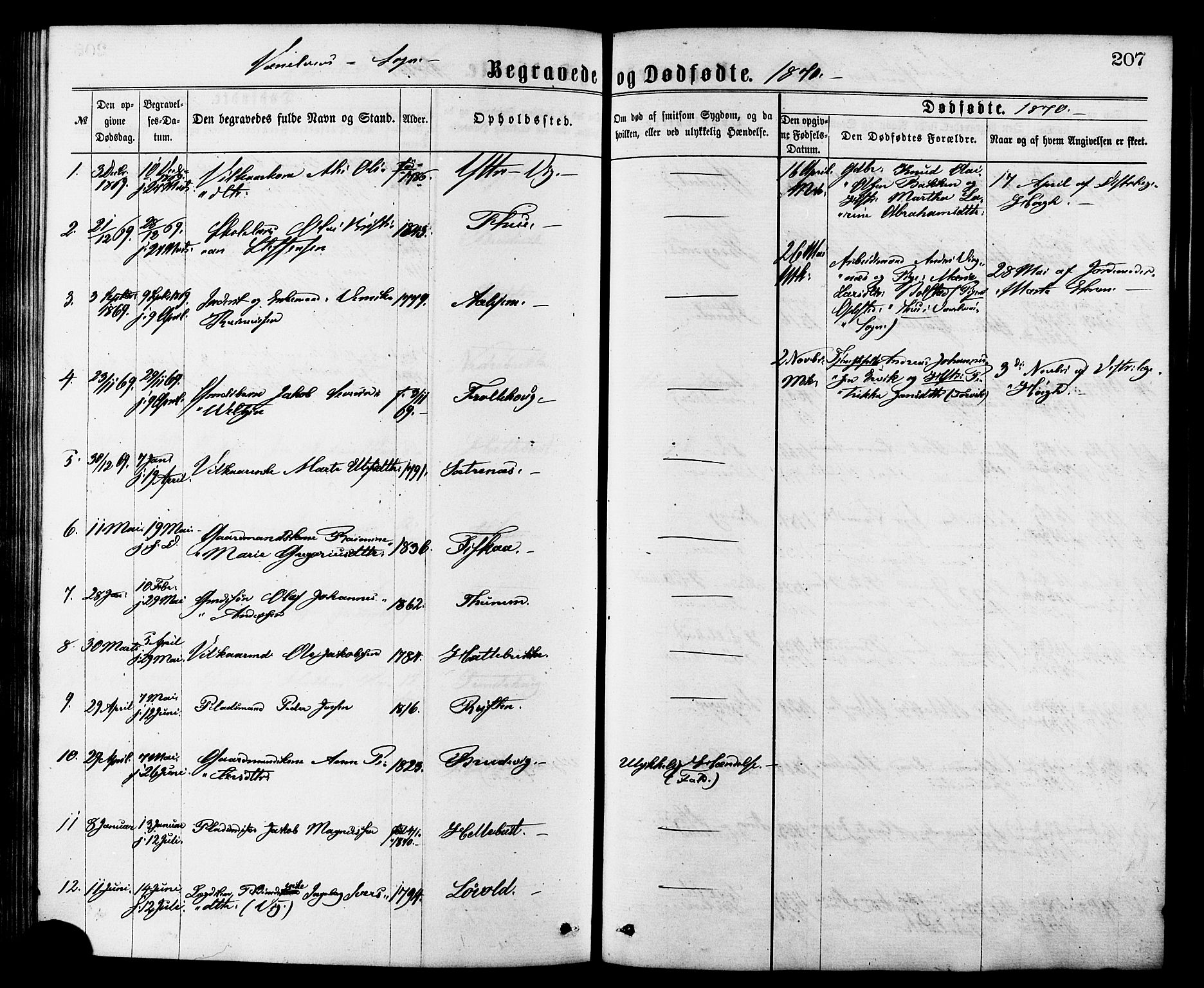 Ministerialprotokoller, klokkerbøker og fødselsregistre - Møre og Romsdal, AV/SAT-A-1454/501/L0007: Parish register (official) no. 501A07, 1868-1884, p. 207