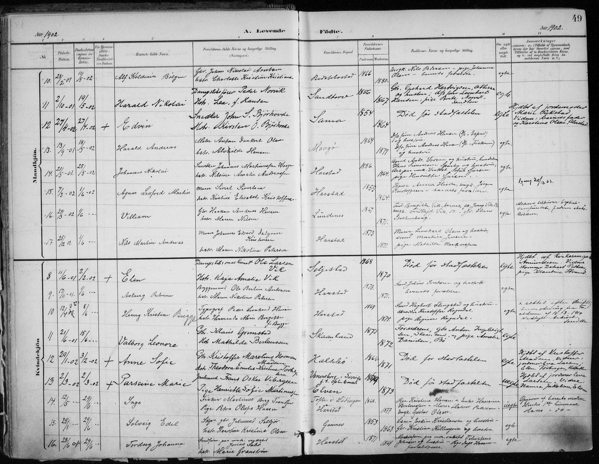 Trondenes sokneprestkontor, SATØ/S-1319/H/Ha/L0017kirke: Parish register (official) no. 17, 1899-1908, p. 49