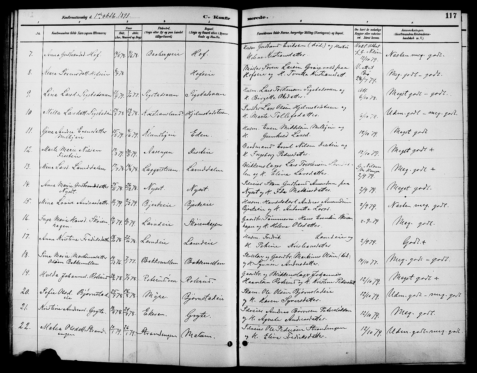 Biri prestekontor, SAH/PREST-096/H/Ha/Hab/L0004: Parish register (copy) no. 4, 1892-1909, p. 117