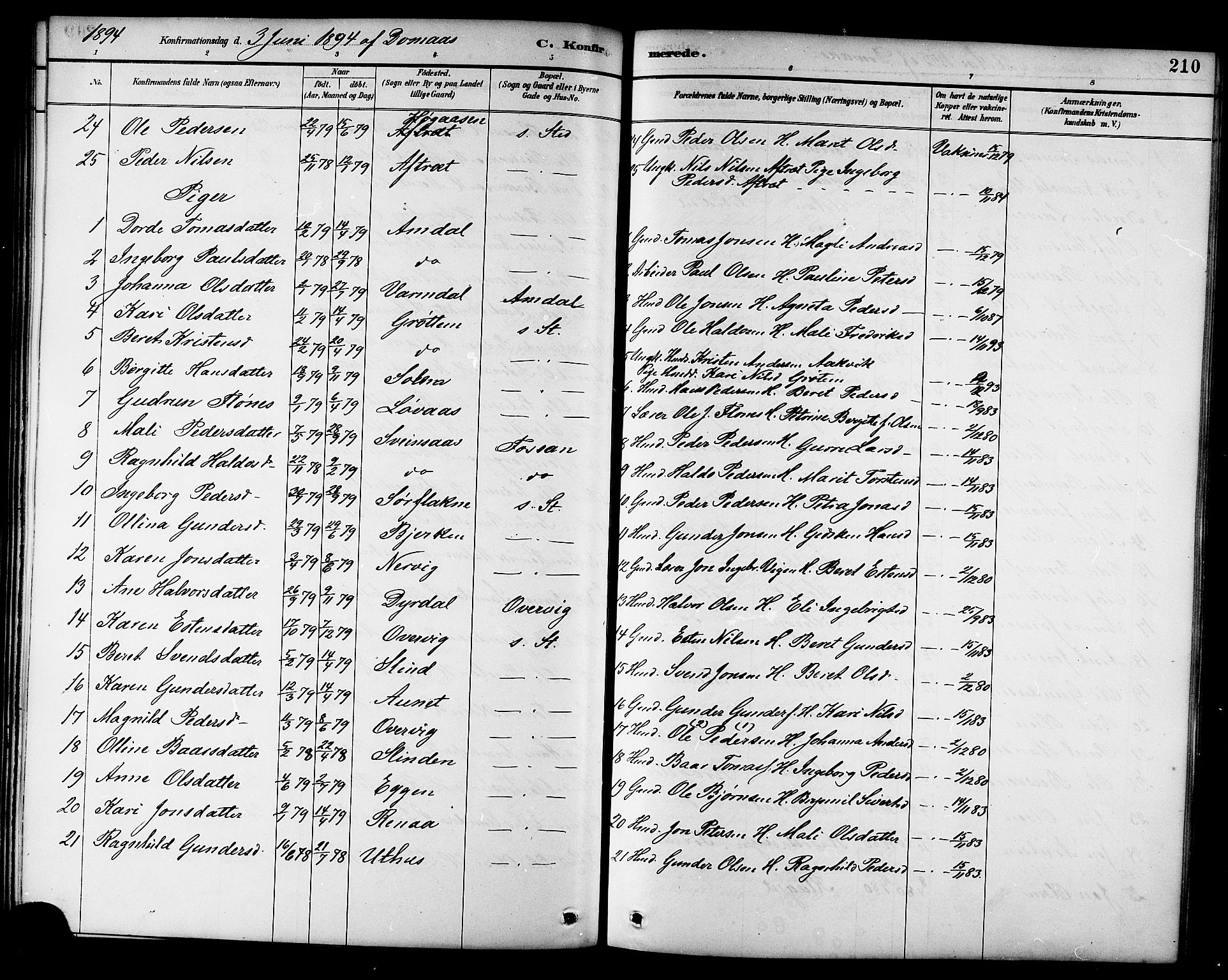 Ministerialprotokoller, klokkerbøker og fødselsregistre - Sør-Trøndelag, SAT/A-1456/695/L1157: Parish register (copy) no. 695C08, 1889-1913, p. 210