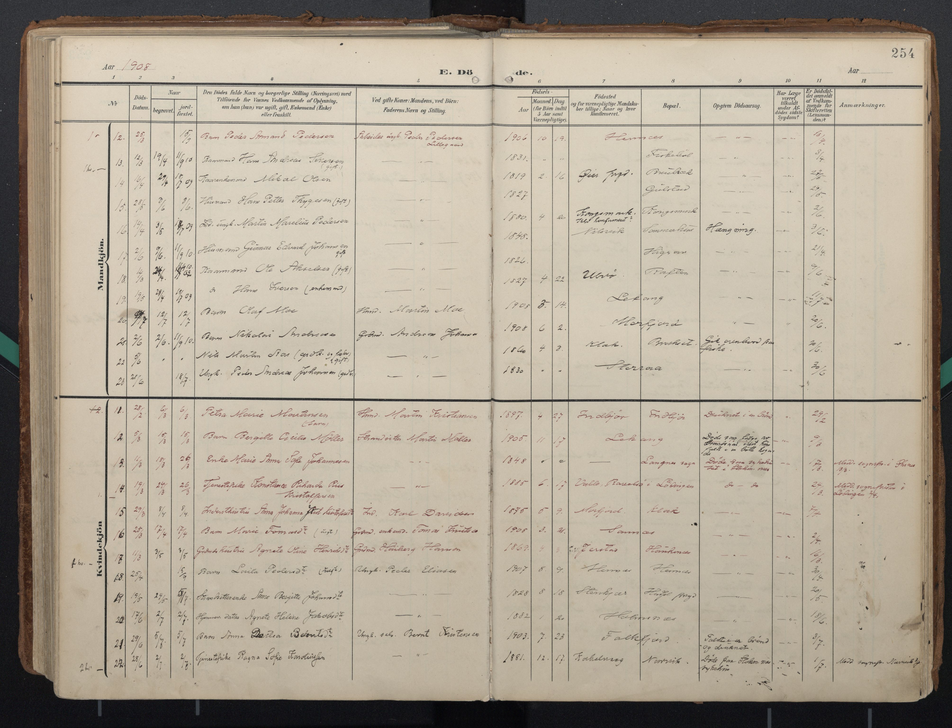 Ministerialprotokoller, klokkerbøker og fødselsregistre - Nordland, AV/SAT-A-1459/888/L1248: Parish register (official) no. 888A14, 1904-1913, p. 254