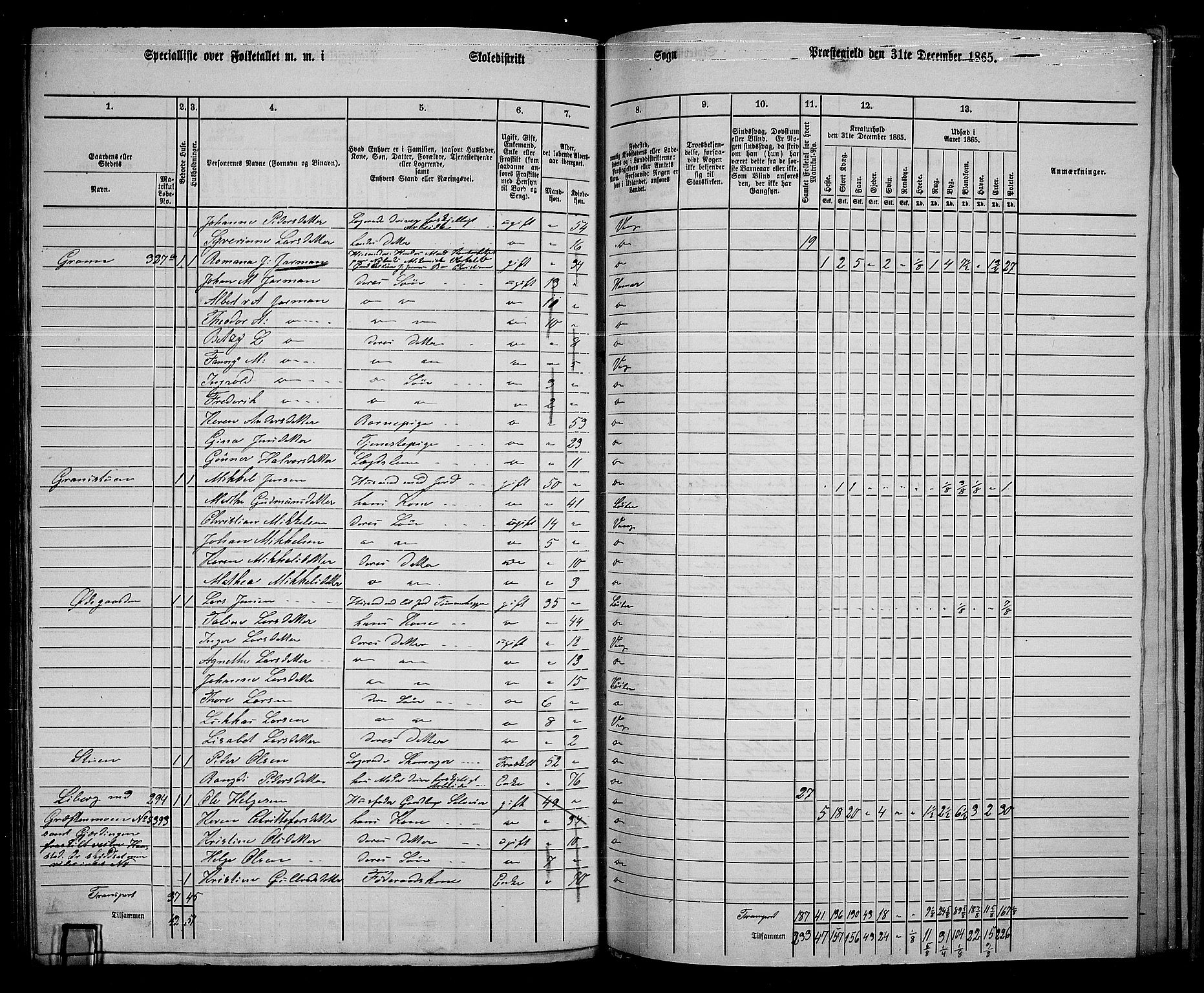 RA, 1865 census for Vang/Vang og Furnes, 1865, p. 301