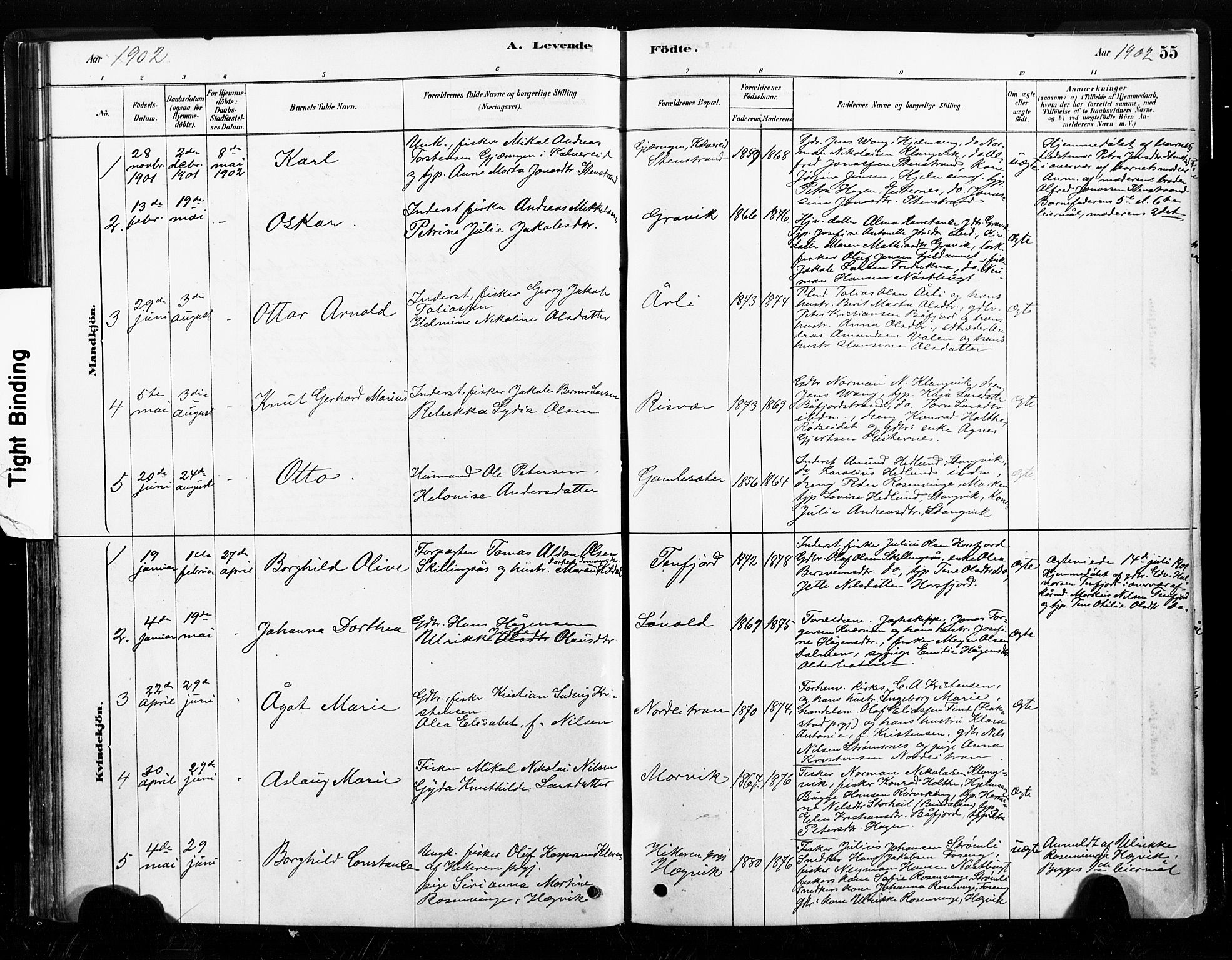 Ministerialprotokoller, klokkerbøker og fødselsregistre - Nord-Trøndelag, SAT/A-1458/789/L0705: Parish register (official) no. 789A01, 1878-1910, p. 55