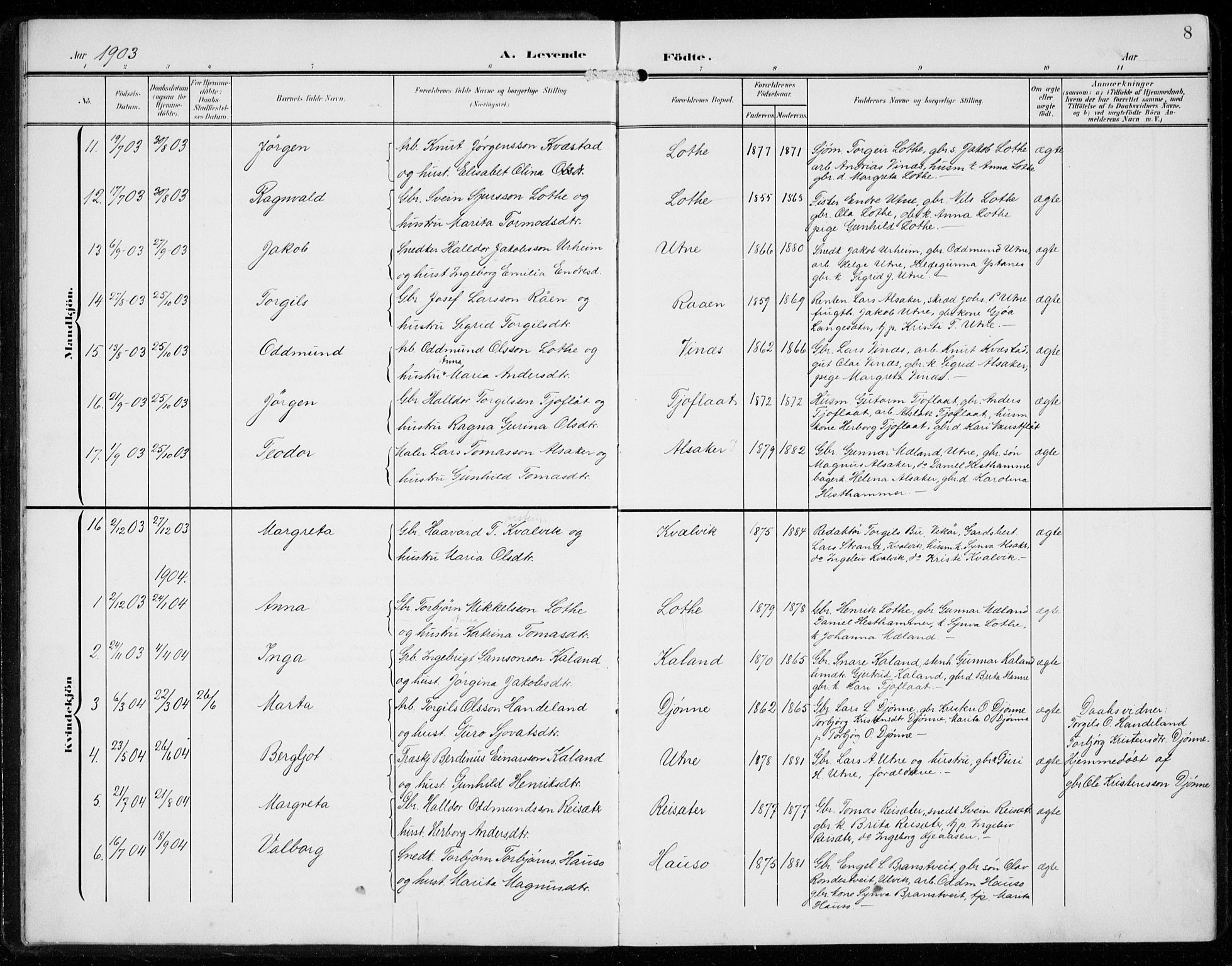 Ullensvang sokneprestembete, SAB/A-78701/H/Hab: Parish register (copy) no. F  1, 1902-1935, p. 8