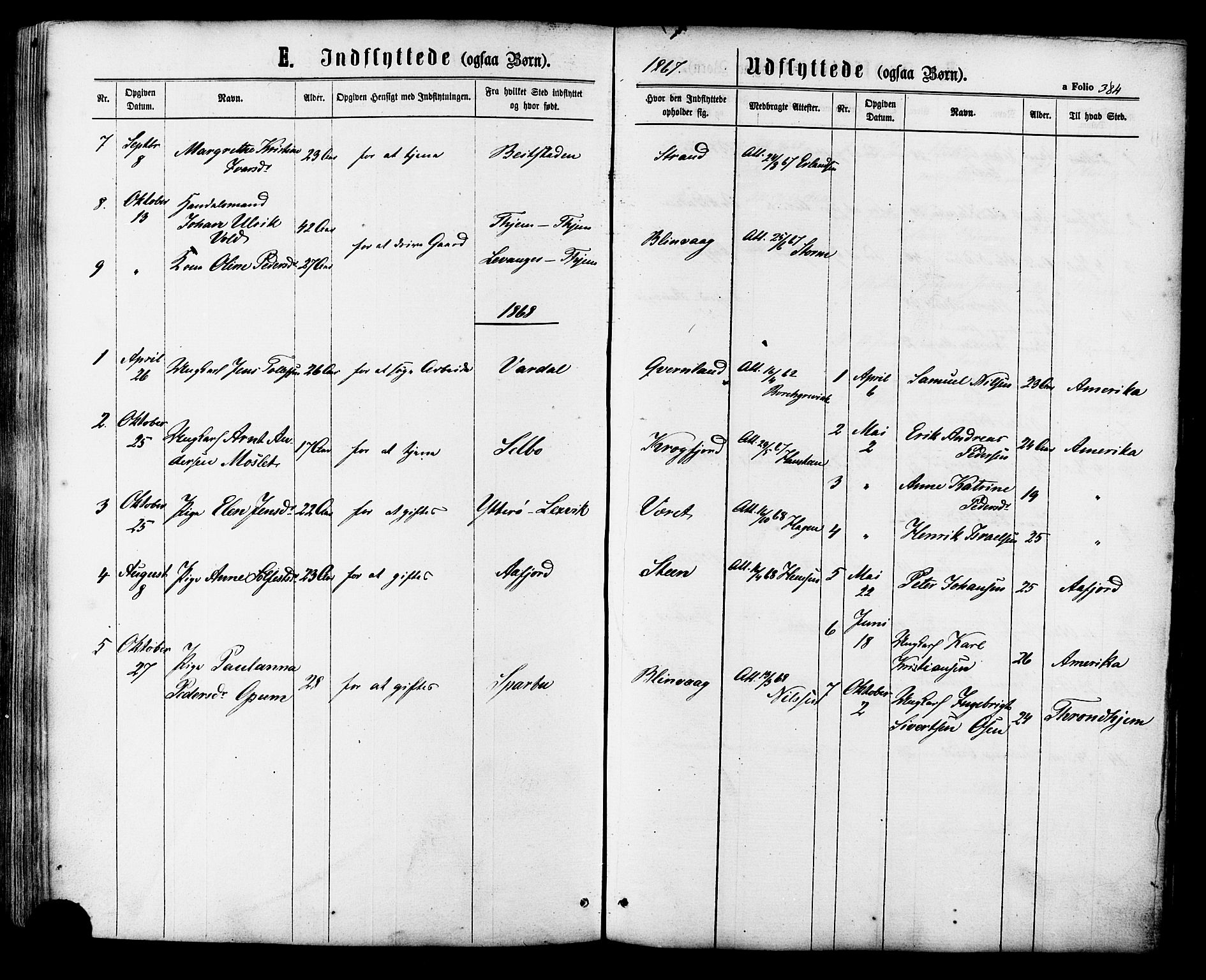 Ministerialprotokoller, klokkerbøker og fødselsregistre - Sør-Trøndelag, SAT/A-1456/657/L0706: Parish register (official) no. 657A07, 1867-1878, p. 384
