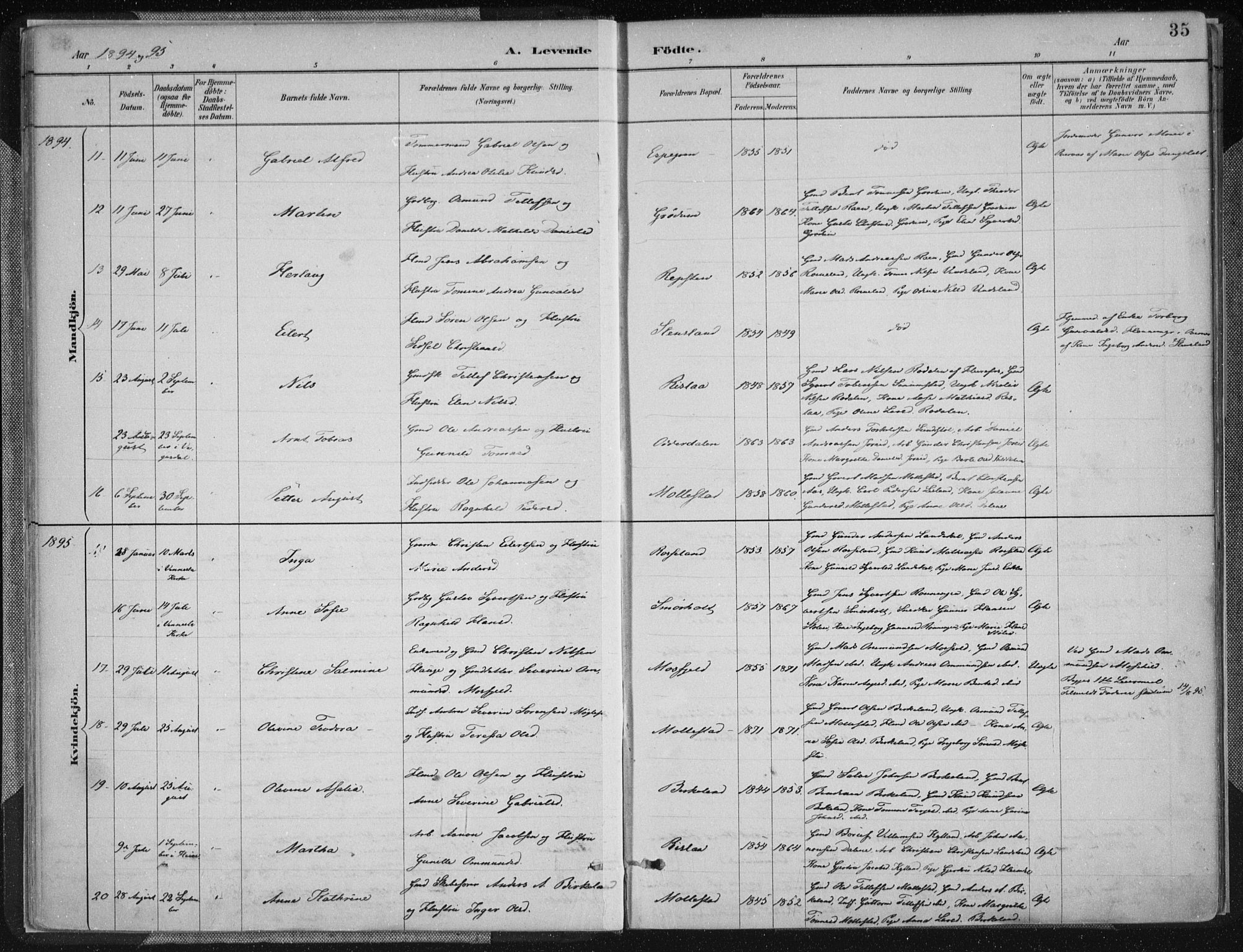 Birkenes sokneprestkontor, SAK/1111-0004/F/Fa/L0005: Parish register (official) no. A 5, 1887-1907, p. 35