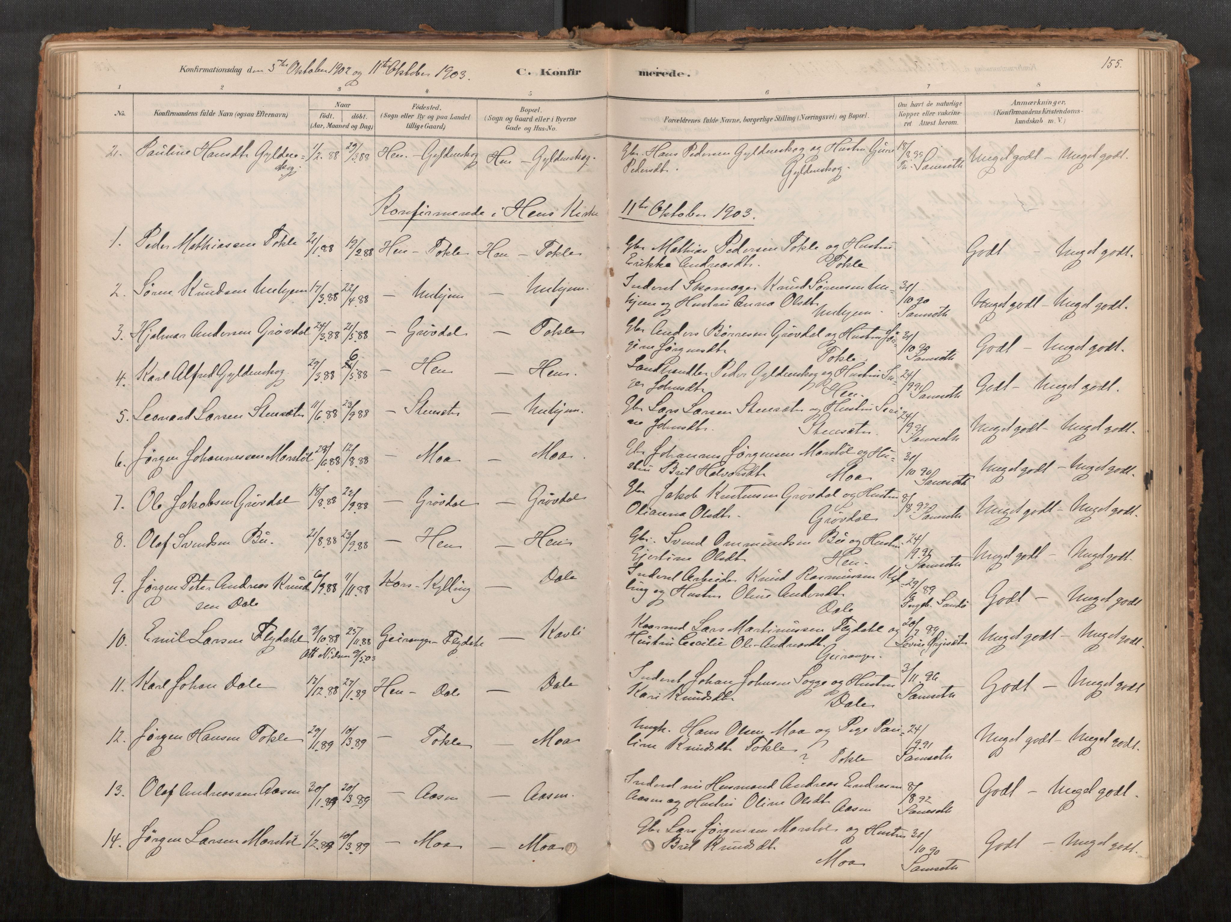 Ministerialprotokoller, klokkerbøker og fødselsregistre - Møre og Romsdal, AV/SAT-A-1454/545/L0594: Parish register (official) no. 545A03, 1878-1920, p. 155